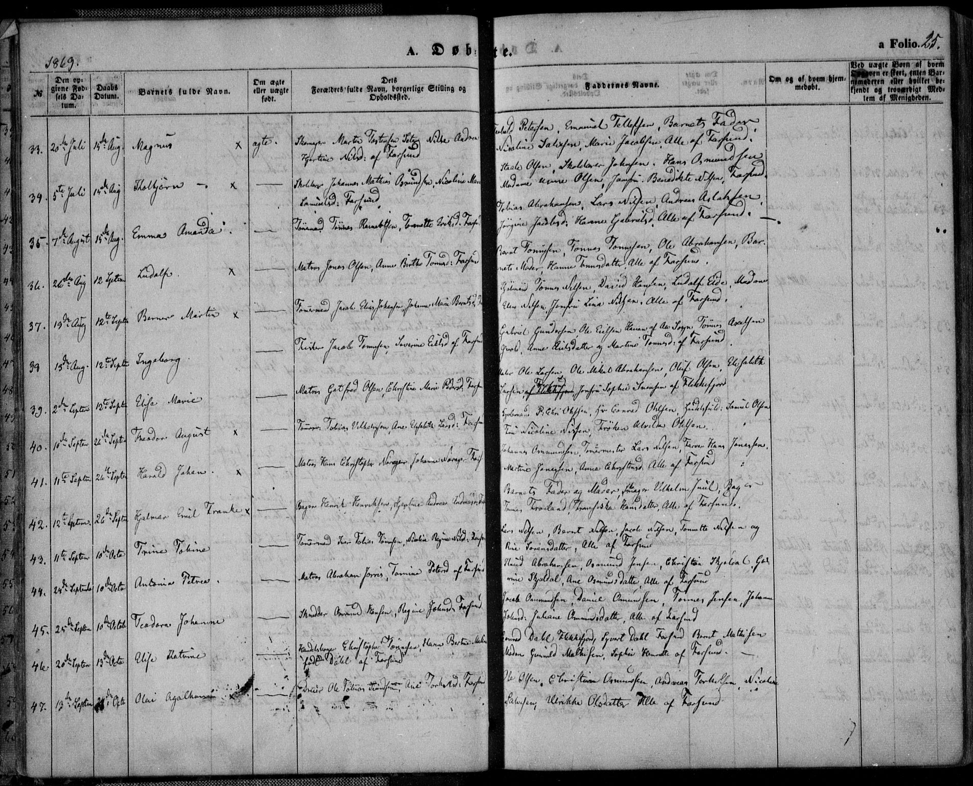 Farsund sokneprestkontor, AV/SAK-1111-0009/F/Fa/L0005: Parish register (official) no. A 5, 1863-1886, p. 25