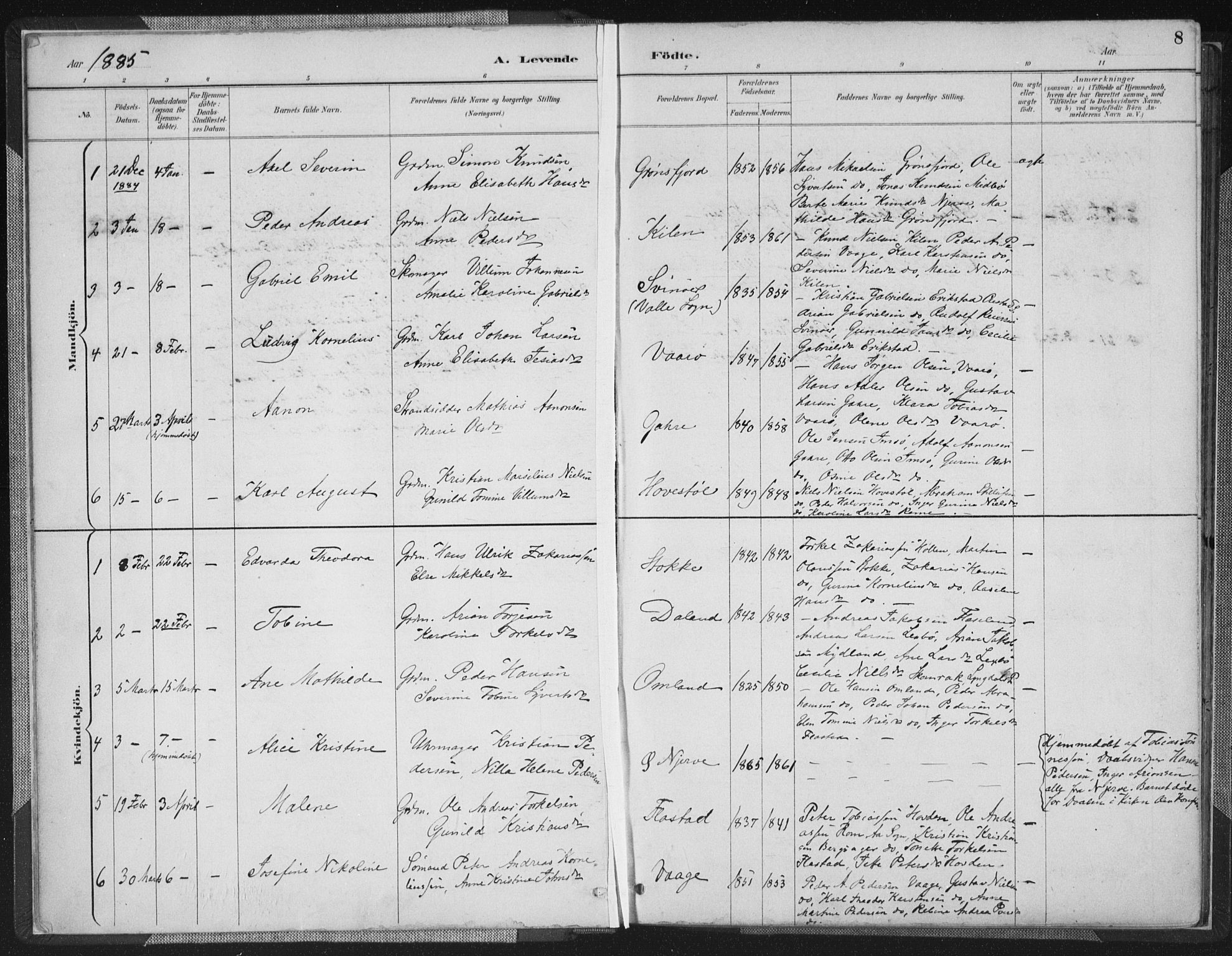 Sør-Audnedal sokneprestkontor, SAK/1111-0039/F/Fa/Faa/L0004: Parish register (official) no. A 4, 1884-1909, p. 8