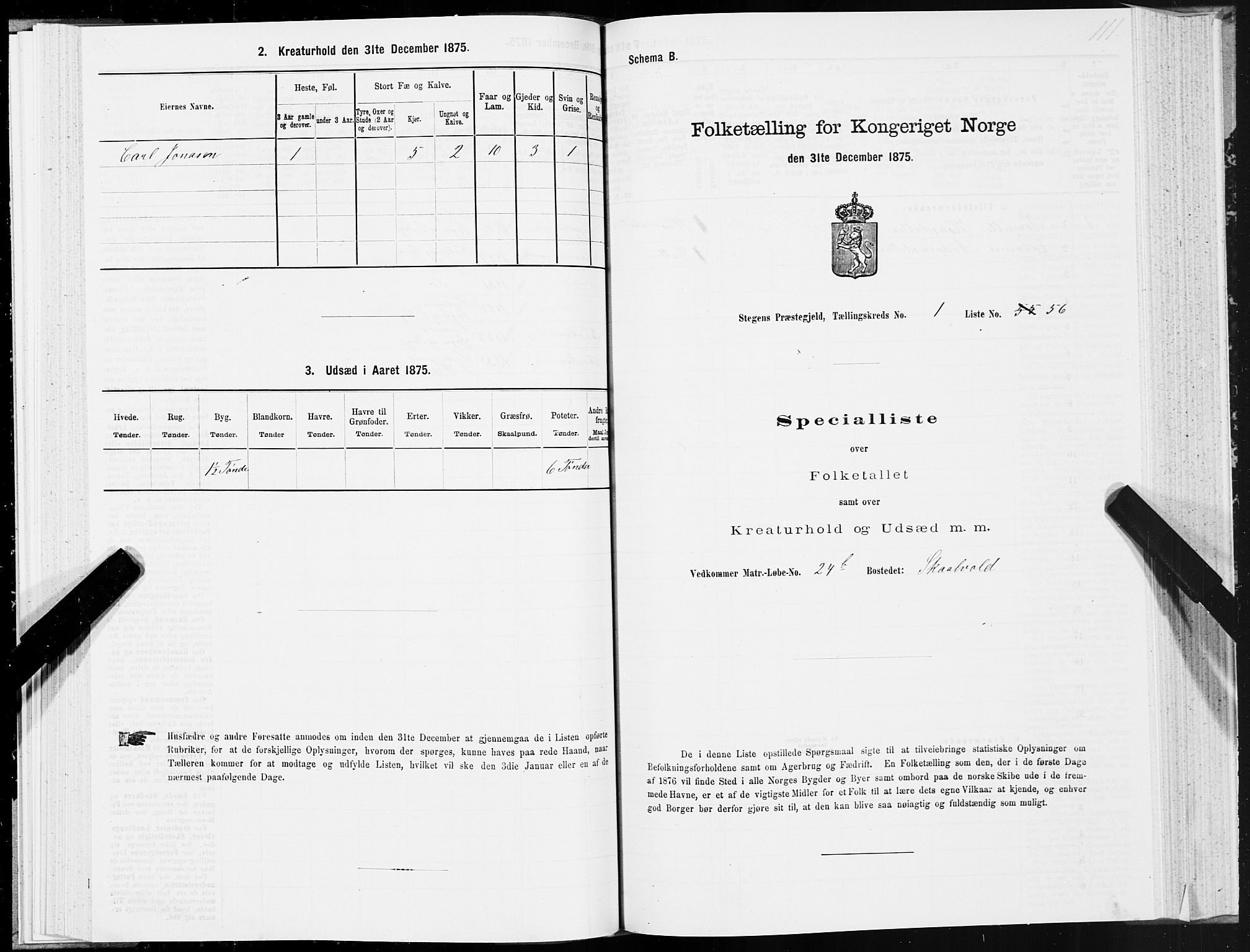 SAT, 1875 census for 1848P Steigen, 1875, p. 1111