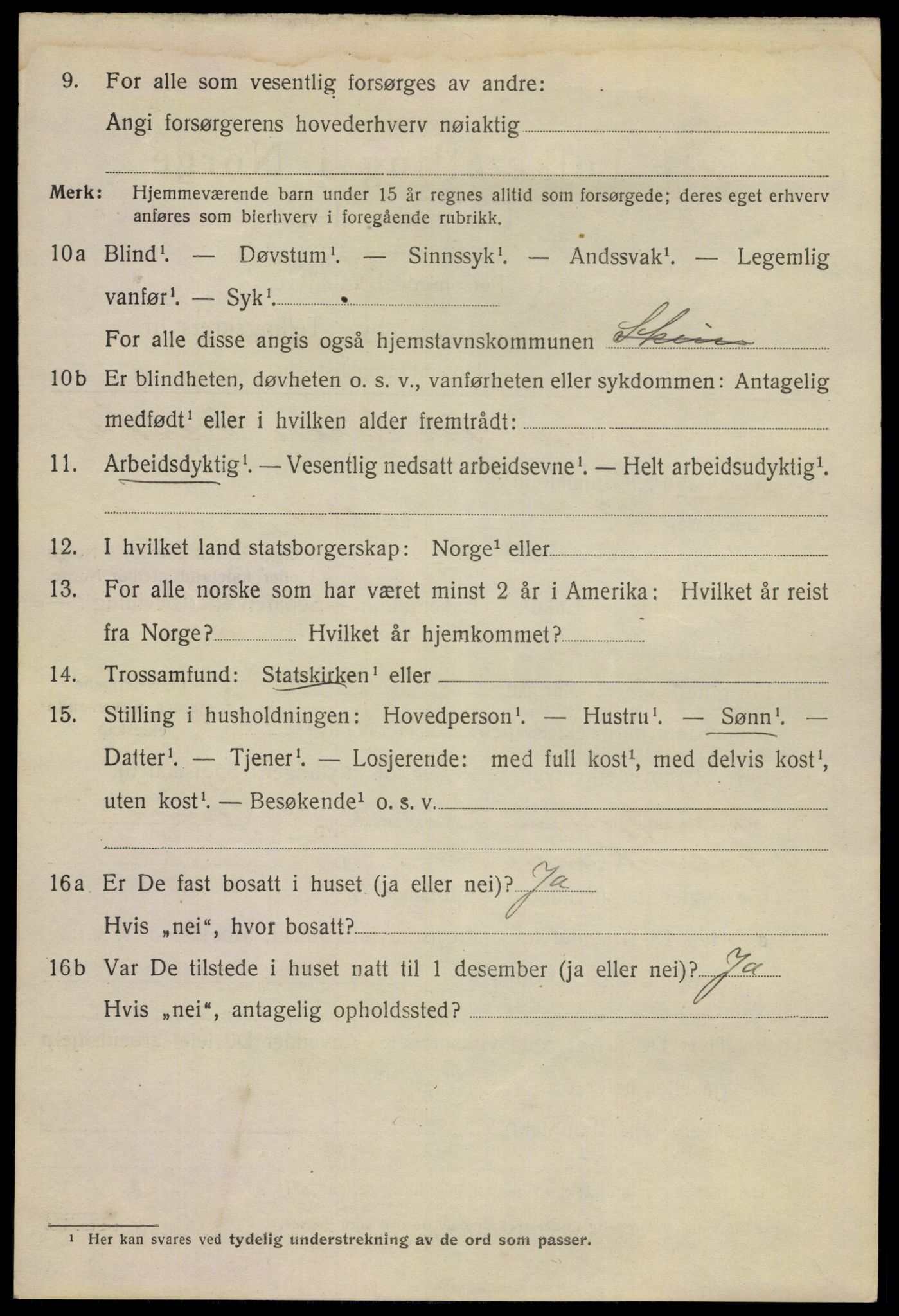 SAKO, 1920 census for Skien, 1920, p. 20025