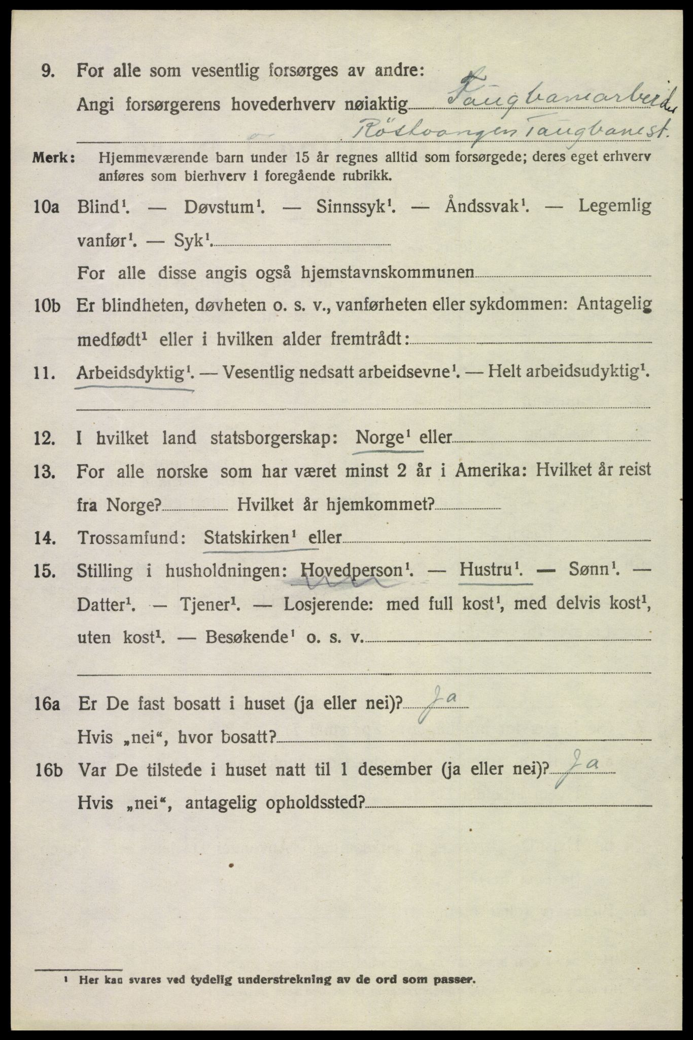 SAH, 1920 census for Tynset, 1920, p. 9369