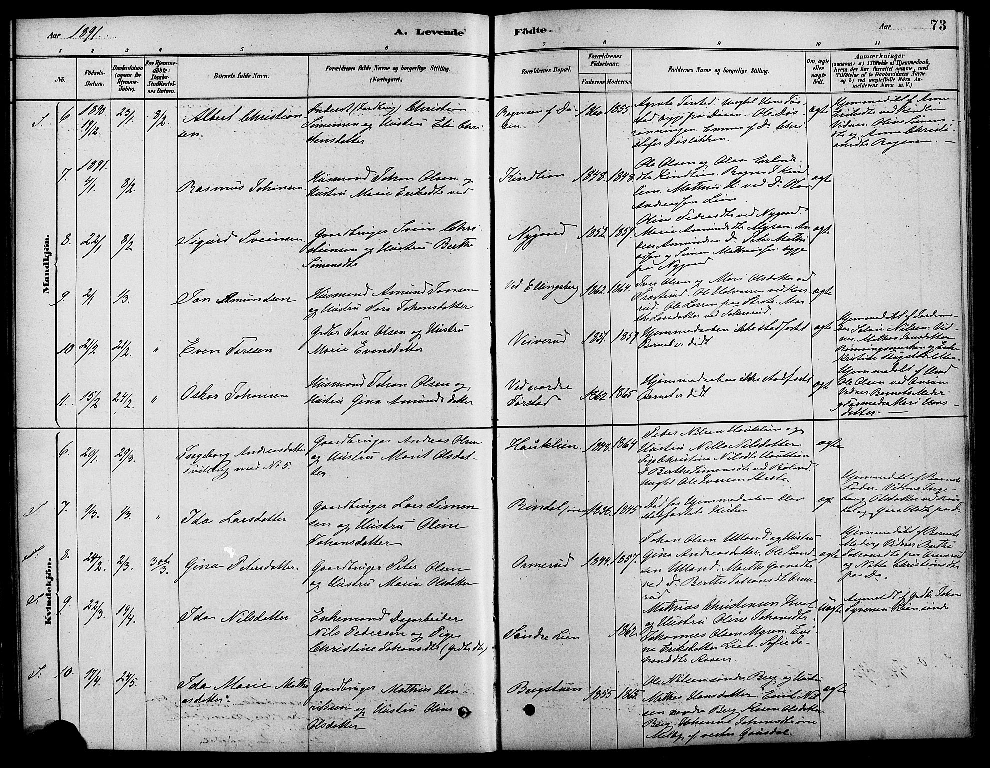 Fåberg prestekontor, AV/SAH-PREST-086/H/Ha/Haa/L0008: Parish register (official) no. 8, 1879-1898, p. 73