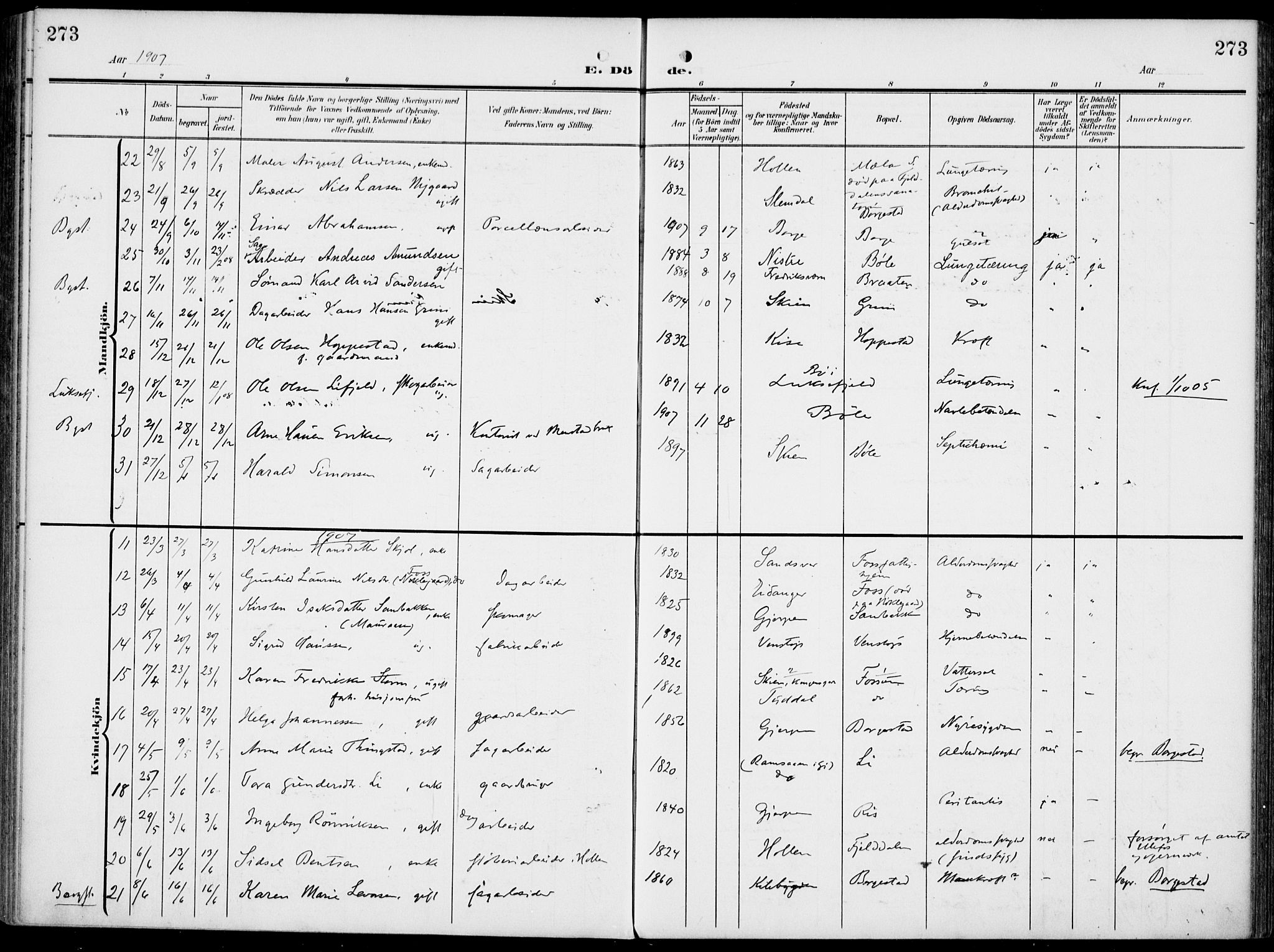 Gjerpen kirkebøker, SAKO/A-265/F/Fa/L0012: Parish register (official) no. I 12, 1905-1913, p. 273