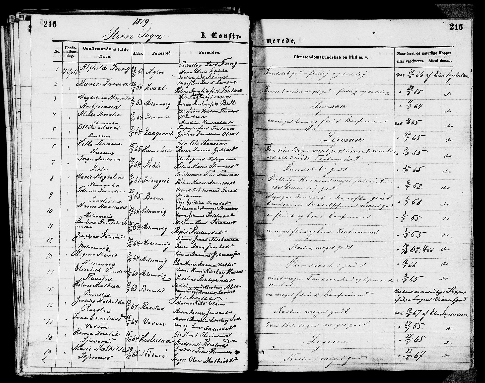 Stokke kirkebøker, AV/SAKO-A-320/F/Fa/L0009: Parish register (official) no. I 9, 1872-1883, p. 216