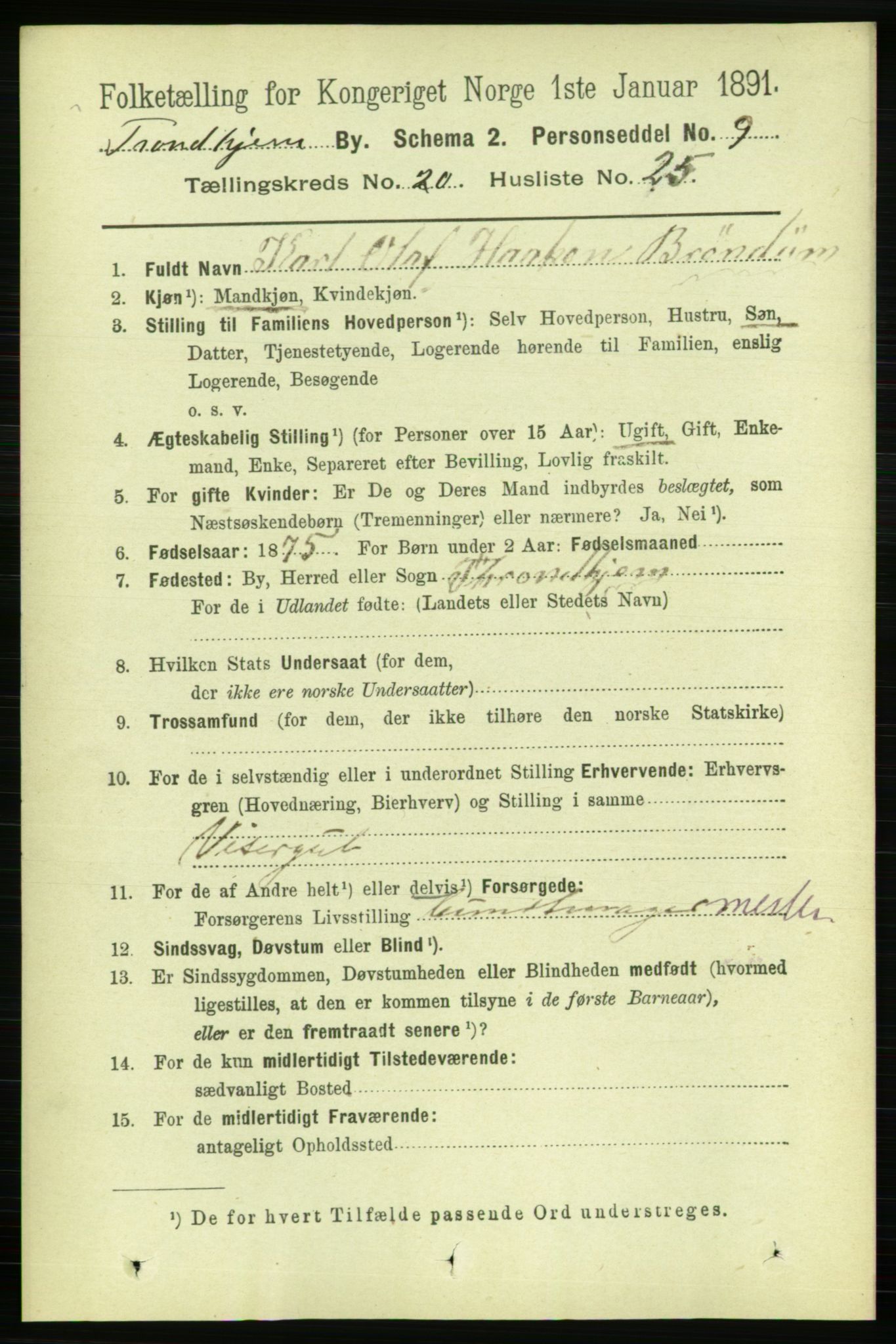 RA, 1891 census for 1601 Trondheim, 1891, p. 15509