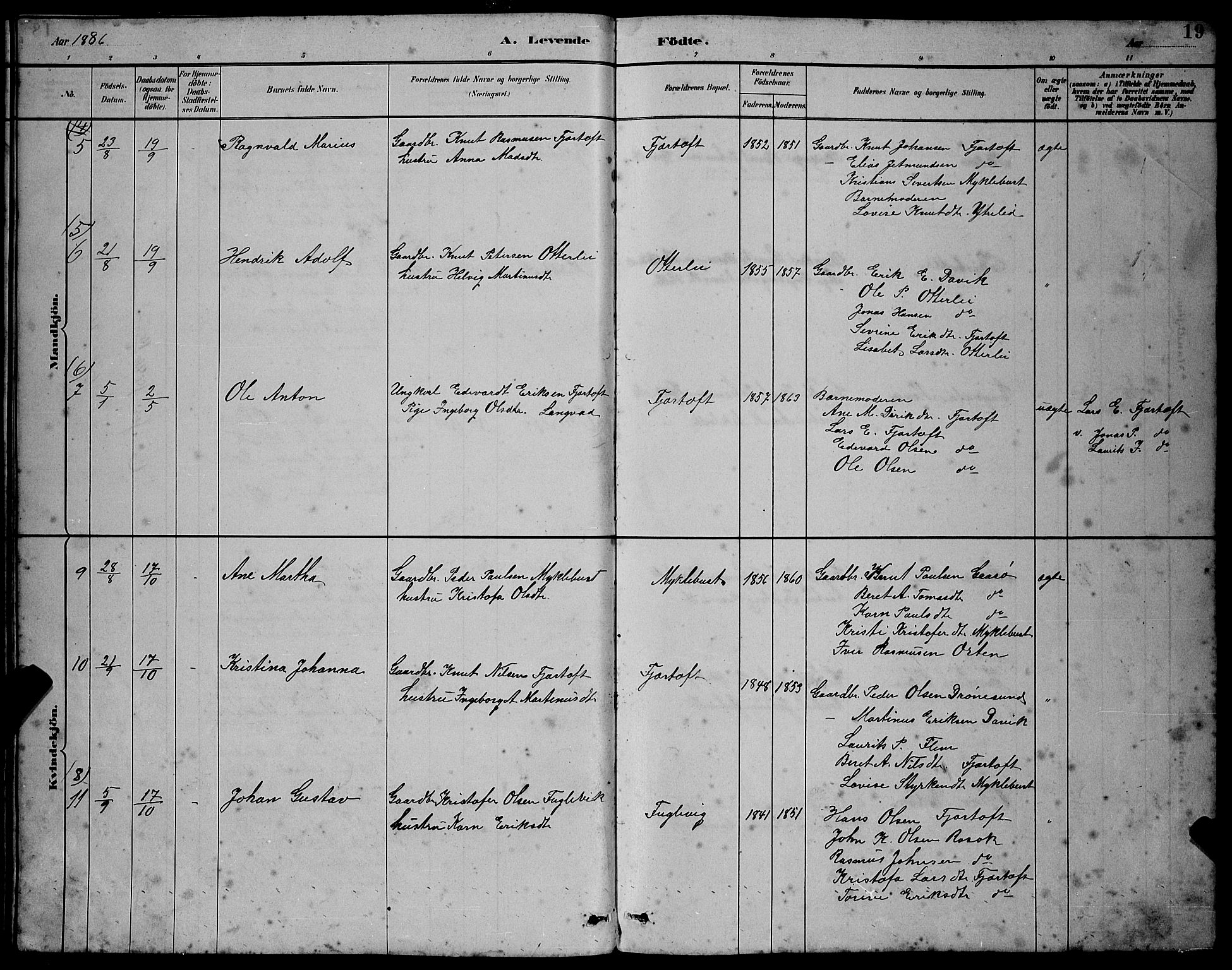 Ministerialprotokoller, klokkerbøker og fødselsregistre - Møre og Romsdal, AV/SAT-A-1454/538/L0523: Parish register (copy) no. 538C01, 1881-1900, p. 19