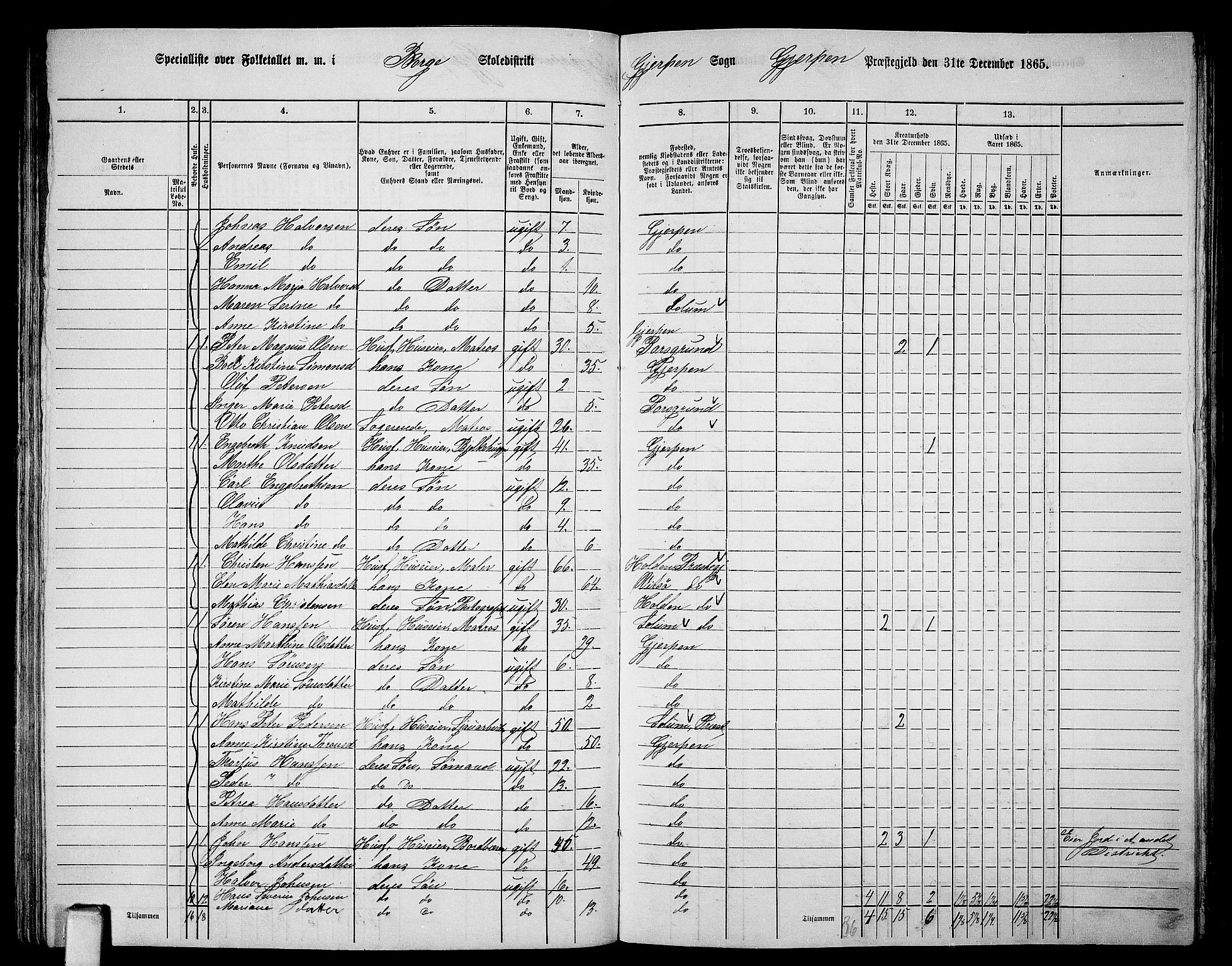 RA, 1865 census for Gjerpen, 1865, p. 141