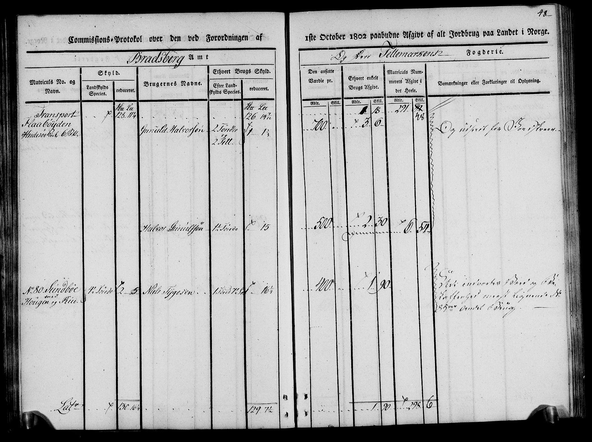 Rentekammeret inntil 1814, Realistisk ordnet avdeling, RA/EA-4070/N/Ne/Nea/L0075: Øvre Telemarken fogderi. Kommisjonsprotokoll for fogderiets vestre del - Kviteseid, Vinje, Moland [):Fyresdal] og Lårdal prestegjeld., 1803, p. 48