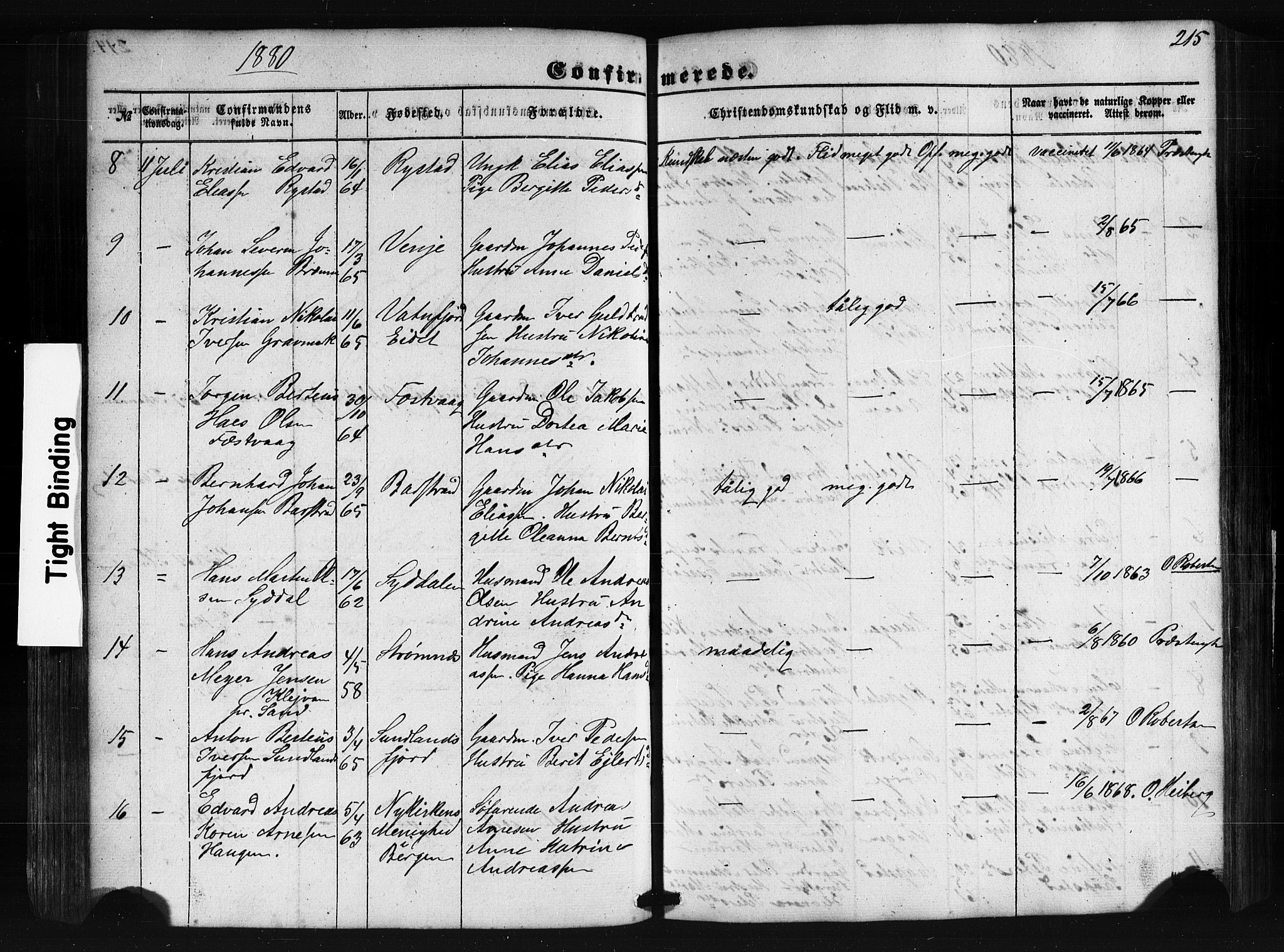 Ministerialprotokoller, klokkerbøker og fødselsregistre - Nordland, AV/SAT-A-1459/876/L1095: Parish register (official) no. 876A01, 1863-1885, p. 215