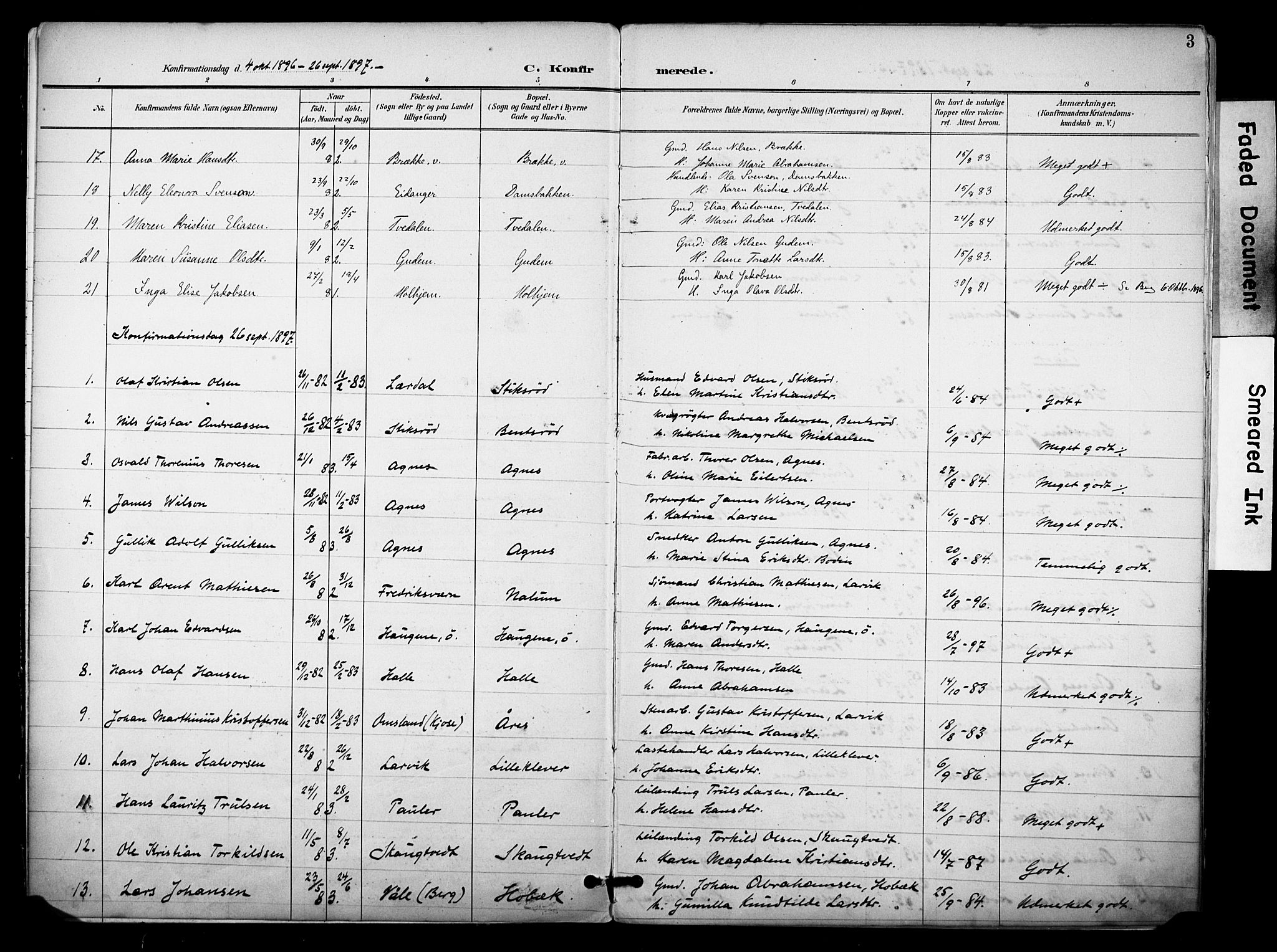 Brunlanes kirkebøker, AV/SAKO-A-342/F/Fc/L0002: Parish register (official) no. III 2, 1895-1899, p. 3