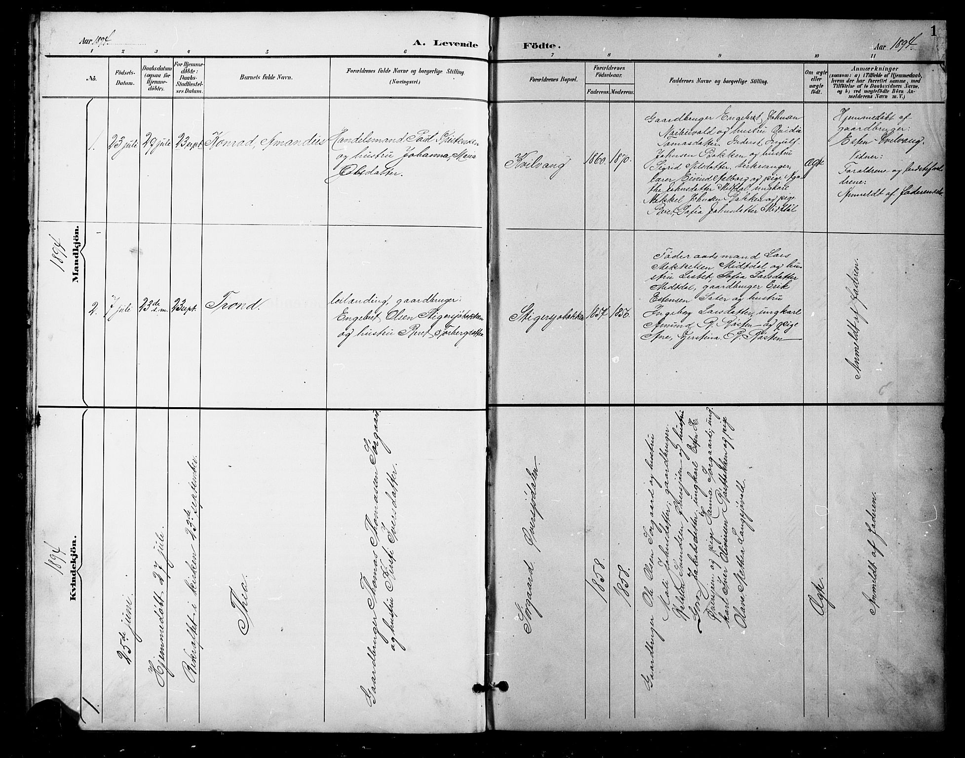 Tolga prestekontor, AV/SAH-PREST-062/L/L0011: Parish register (copy) no. 11, 1894-1925, p. 1