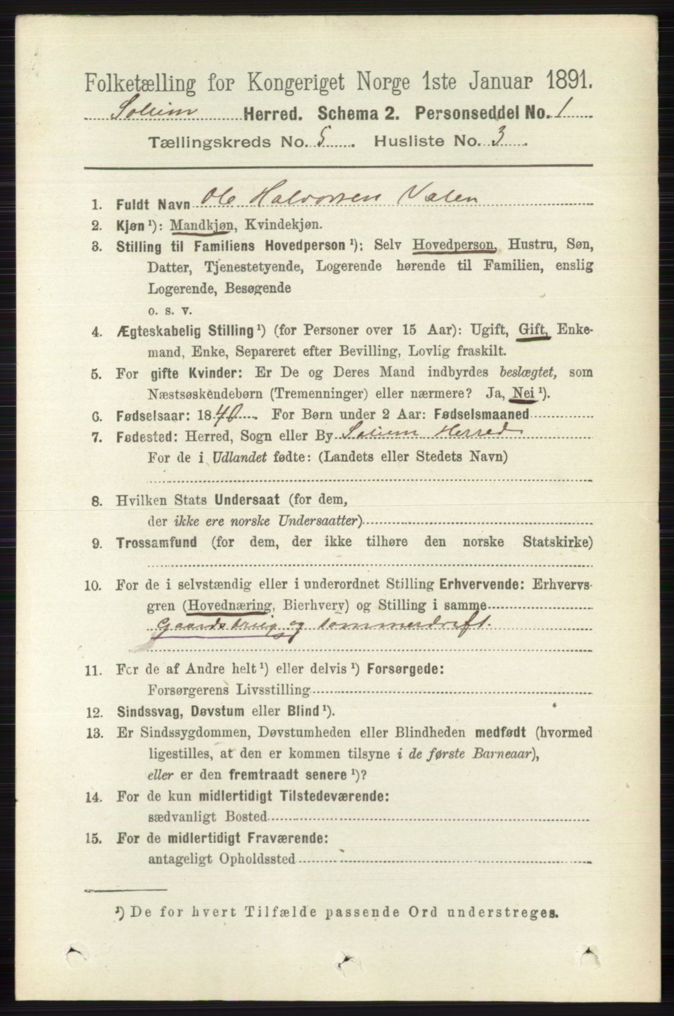 RA, 1891 census for 0818 Solum, 1891, p. 847