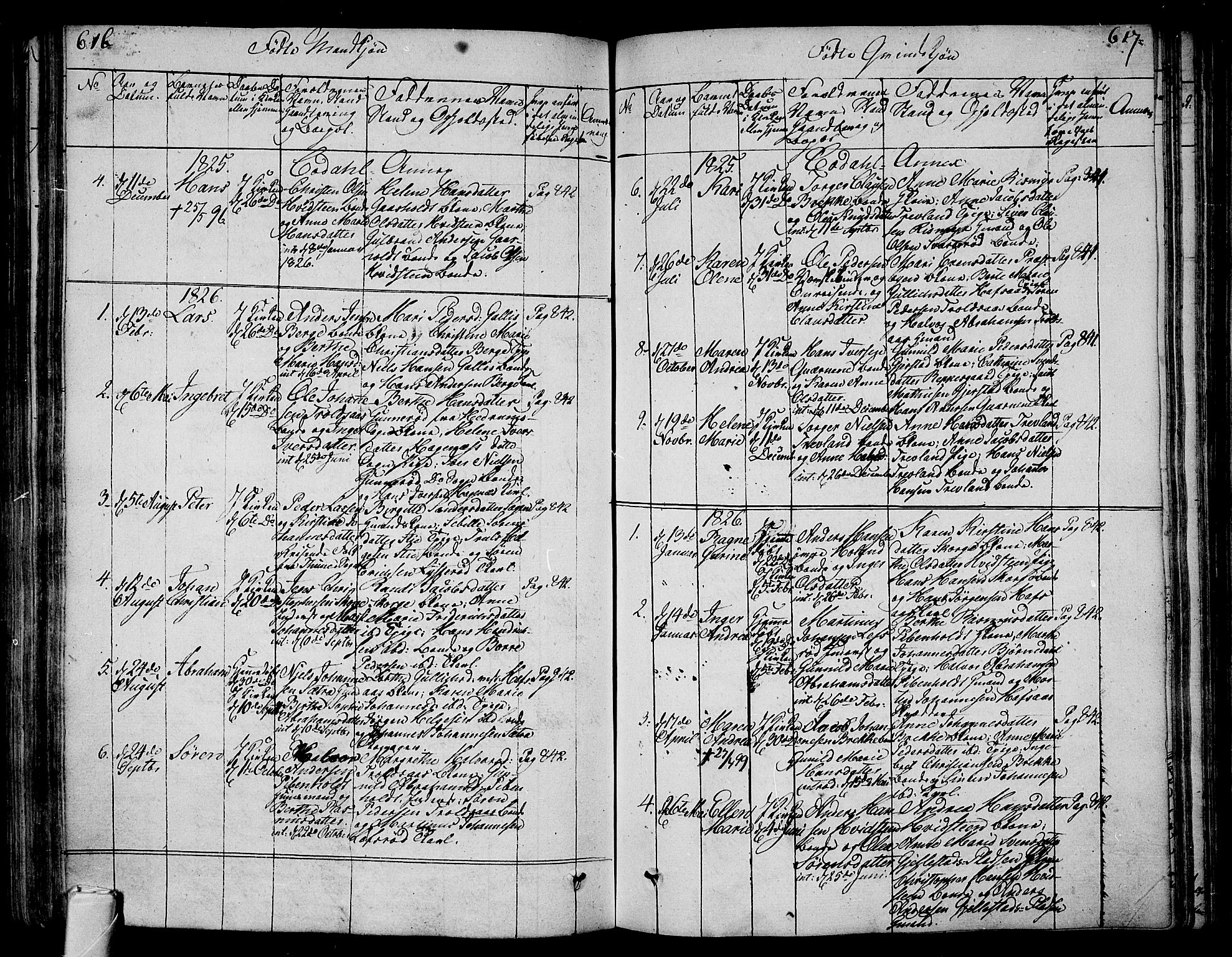 Andebu kirkebøker, SAKO/A-336/F/Fa/L0003: Parish register (official) no. 3 /3, 1815-1828, p. 616-617