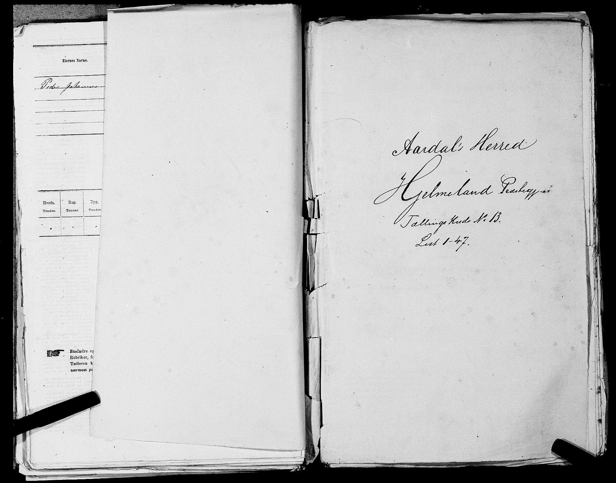 SAST, 1875 census for 1133P Hjelmeland, 1875, p. 1530