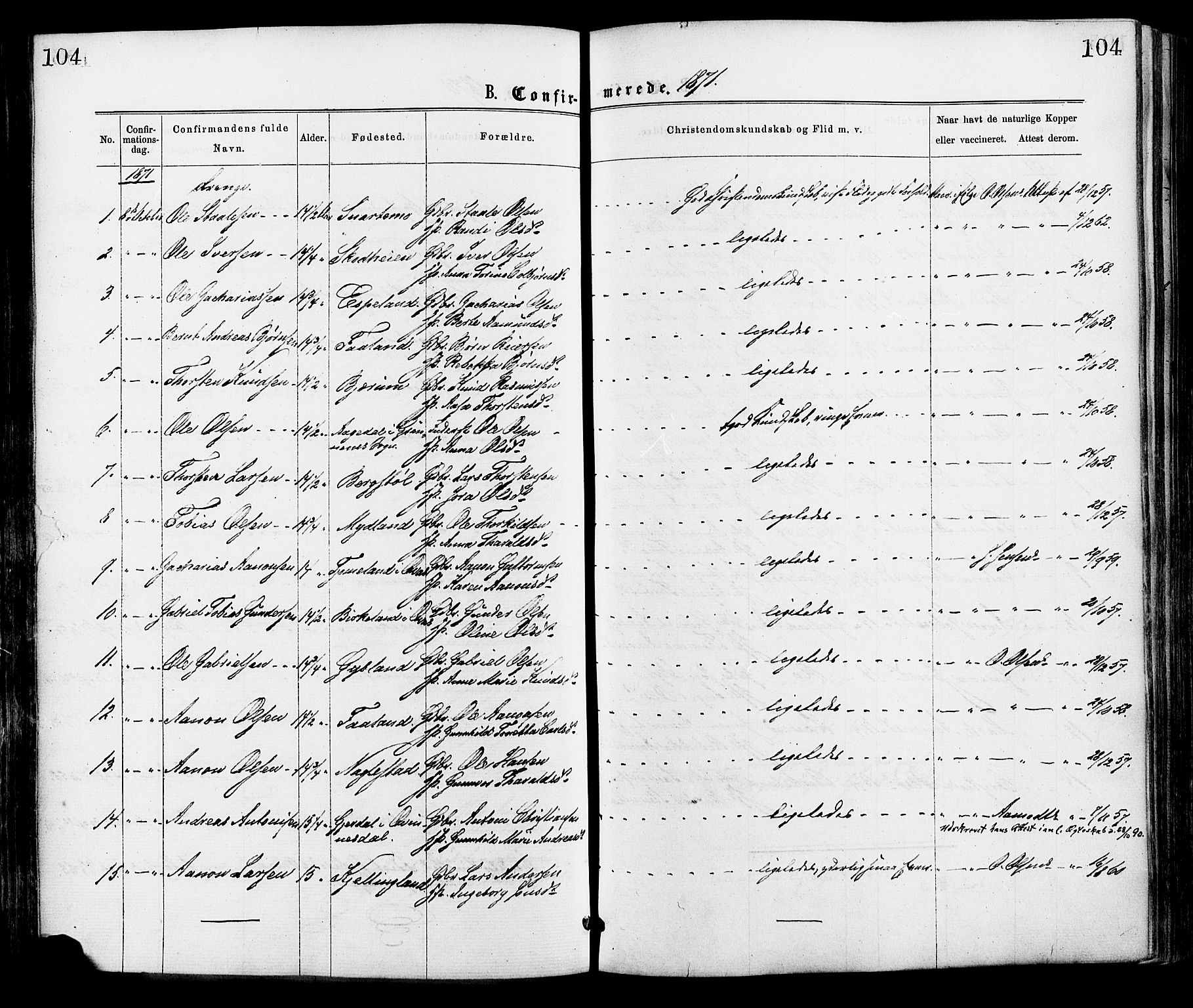 Hægebostad sokneprestkontor, AV/SAK-1111-0024/F/Fa/Faa/L0005: Parish register (official) no. A 5, 1864-1886, p. 104