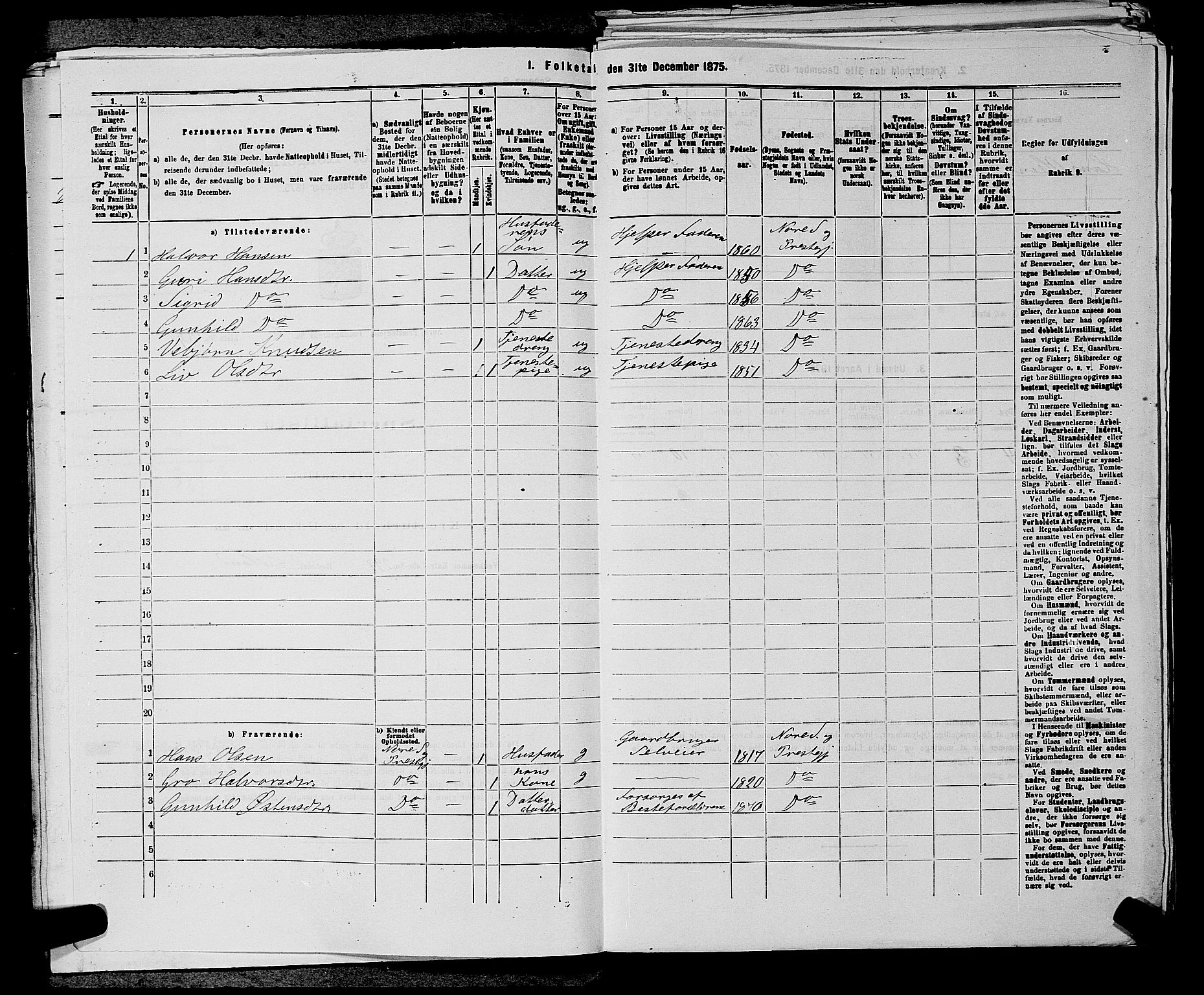 SAKO, 1875 census for 0633P Nore, 1875, p. 878