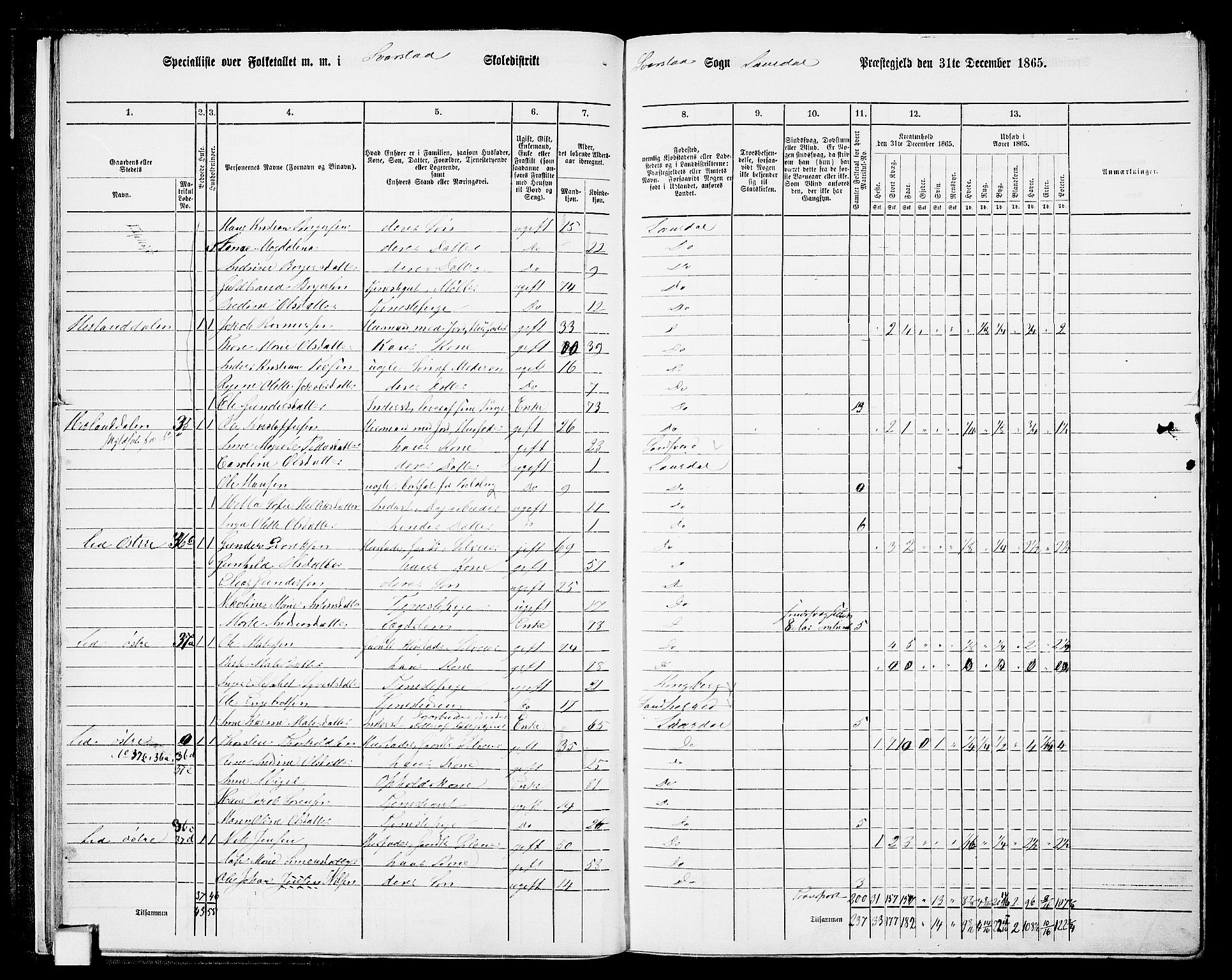 RA, 1865 census for Lardal, 1865, p. 17