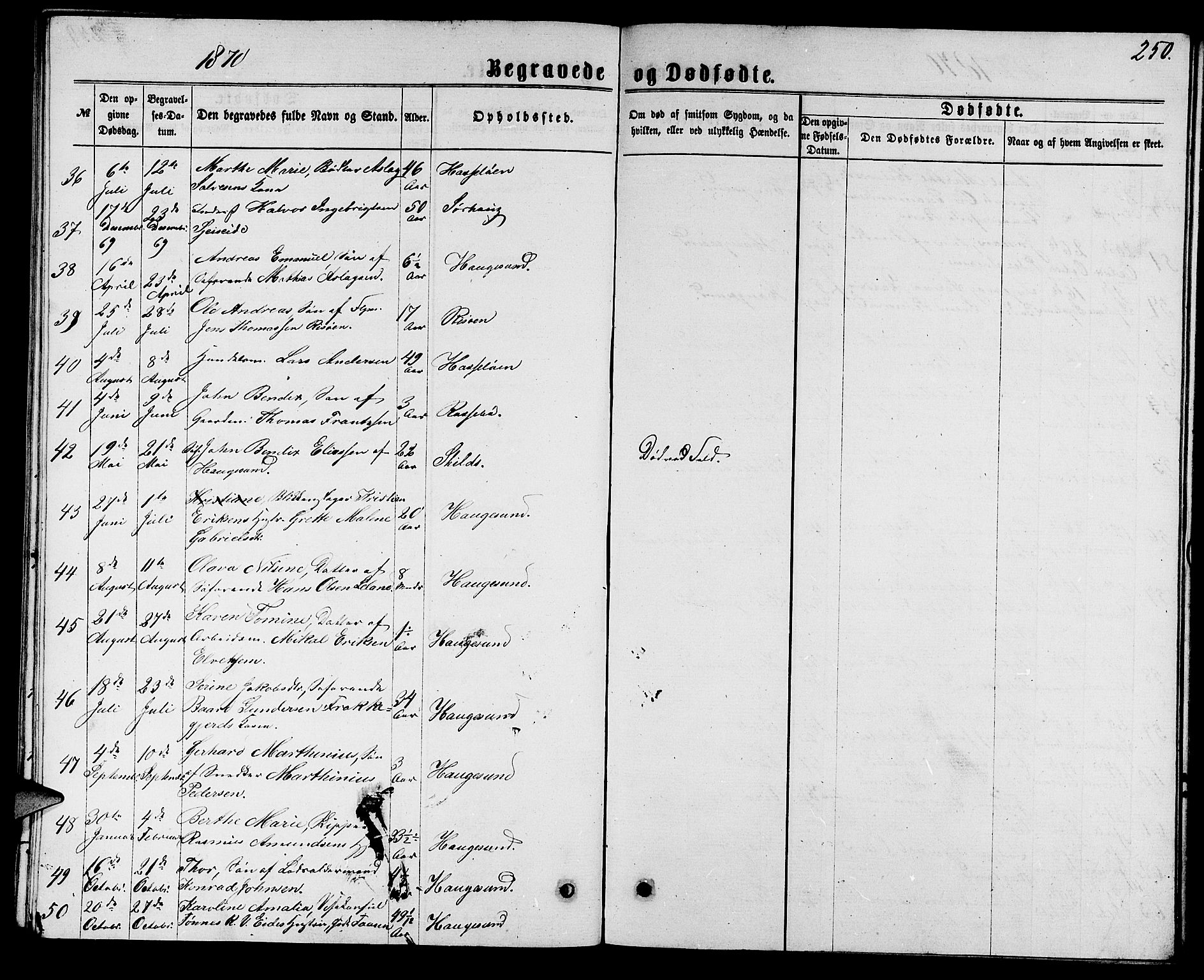 Torvastad sokneprestkontor, SAST/A -101857/H/Ha/Hab/L0007: Parish register (copy) no. B 7, 1866-1873, p. 250