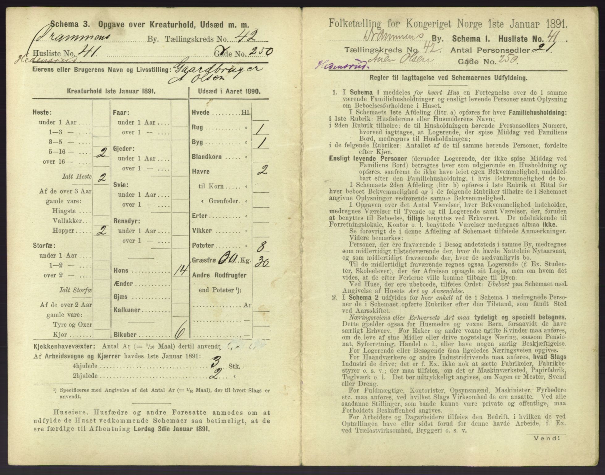 RA, 1891 census for 0602 Drammen, 1891, p. 3797