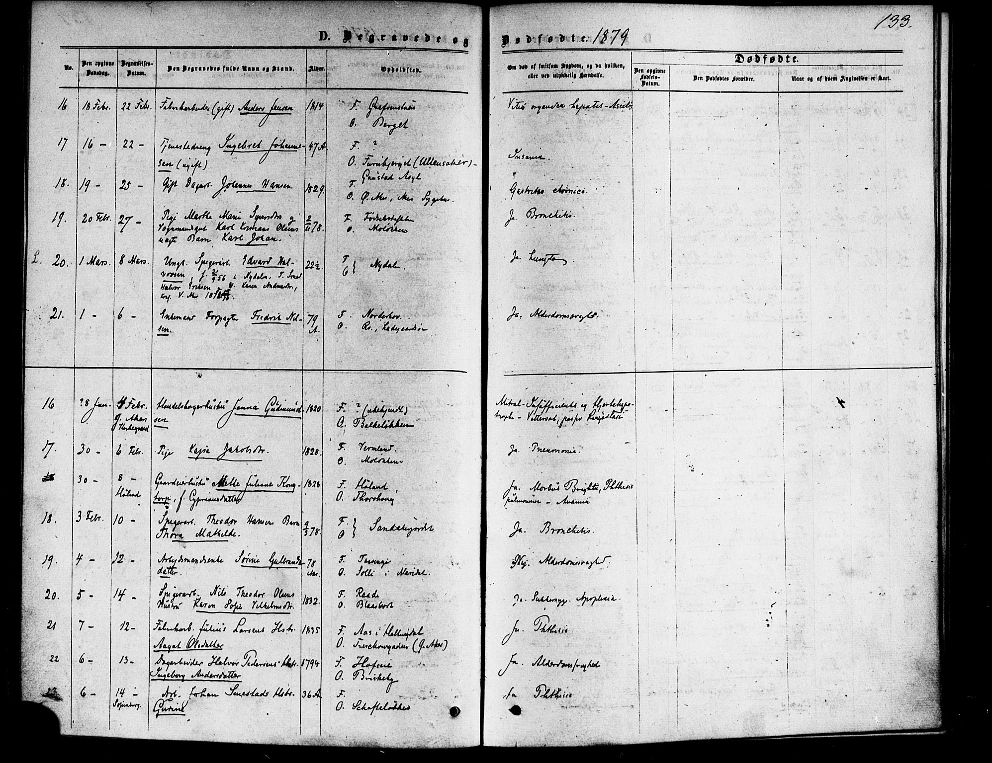 Vestre Aker prestekontor Kirkebøker, AV/SAO-A-10025/F/Fa/L0006: Parish register (official) no. 6, 1873-1886, p. 133
