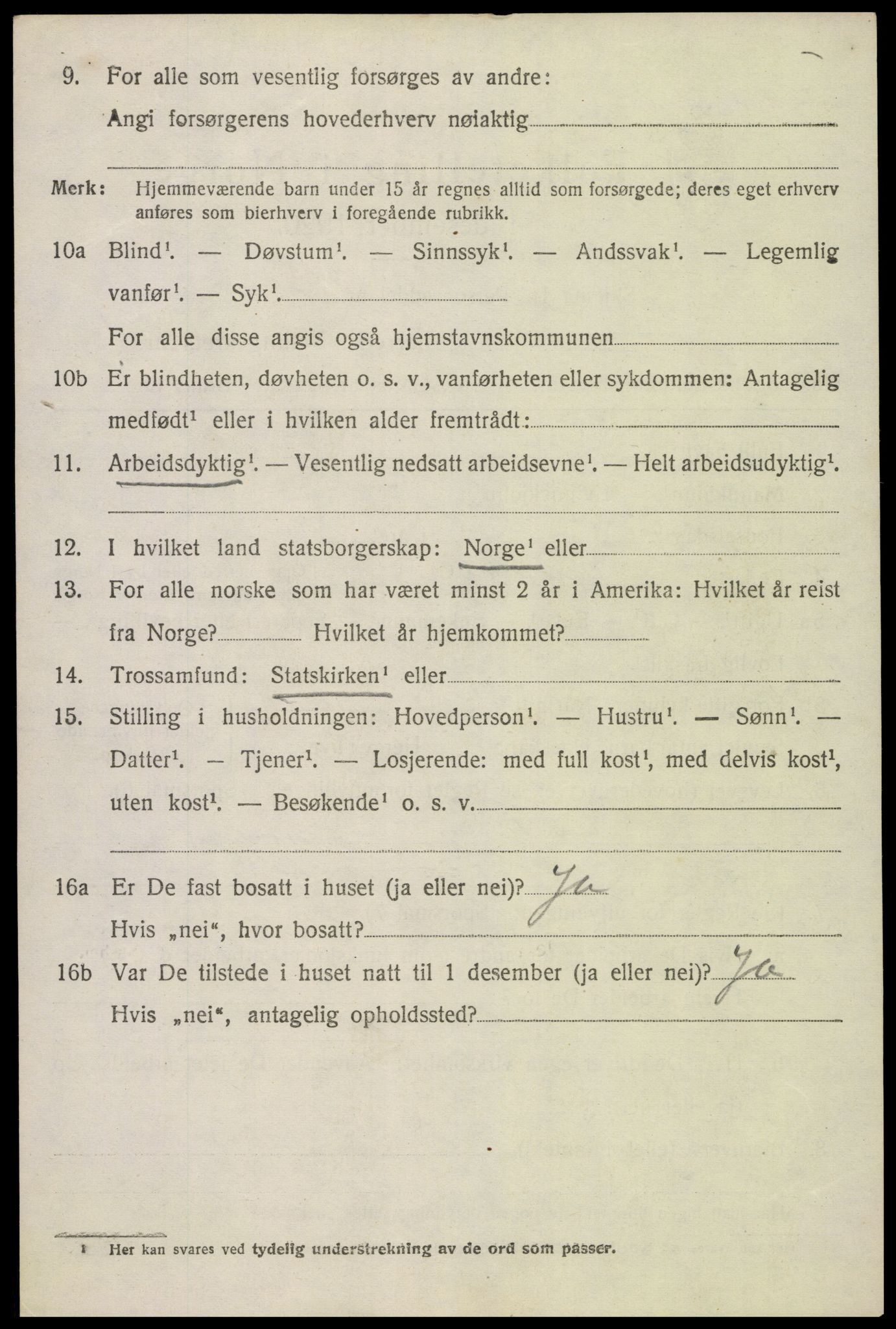SAK, 1920 census for Hornnes, 1920, p. 2552