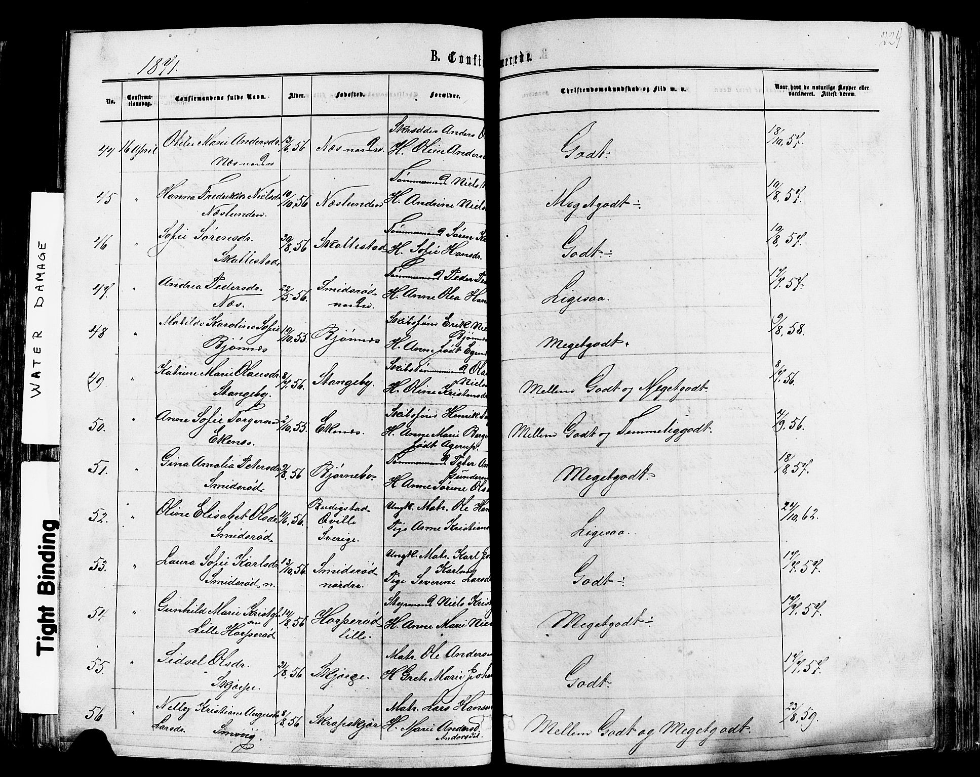 Nøtterøy kirkebøker, AV/SAKO-A-354/F/Fa/L0007: Parish register (official) no. I 7, 1865-1877, p. 224