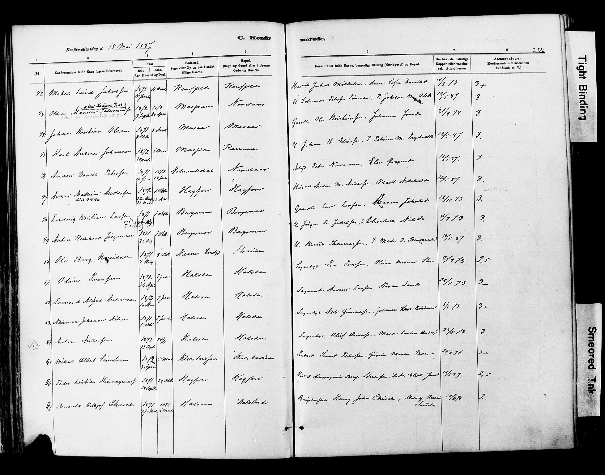 Ministerialprotokoller, klokkerbøker og fødselsregistre - Nordland, SAT/A-1459/820/L0295: Parish register (official) no. 820A16, 1880-1896, p. 206