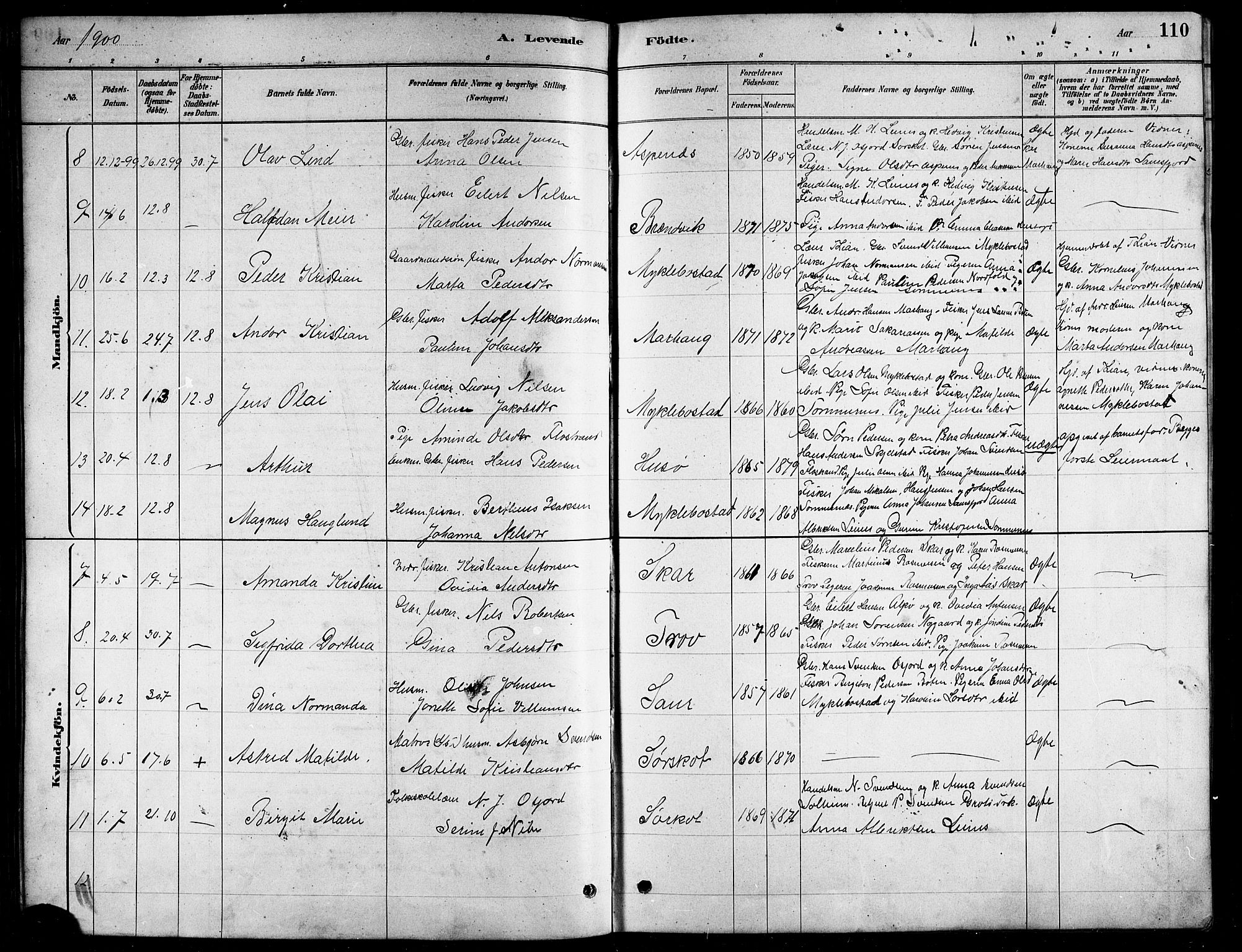 Ministerialprotokoller, klokkerbøker og fødselsregistre - Nordland, AV/SAT-A-1459/857/L0828: Parish register (copy) no. 857C03, 1879-1908, p. 110