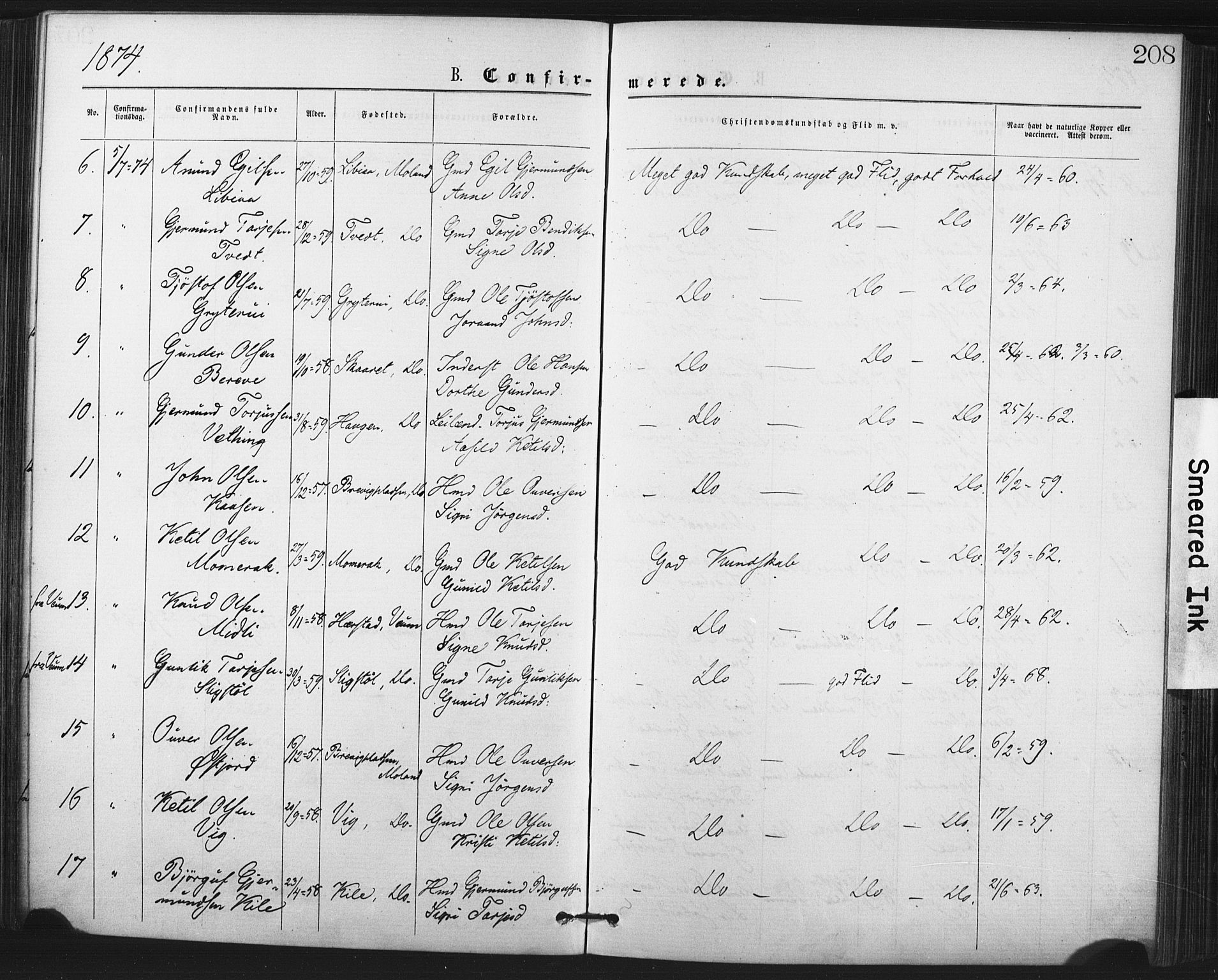 Fyresdal kirkebøker, SAKO/A-263/F/Fa/L0006: Parish register (official) no. I 6, 1872-1886, p. 208