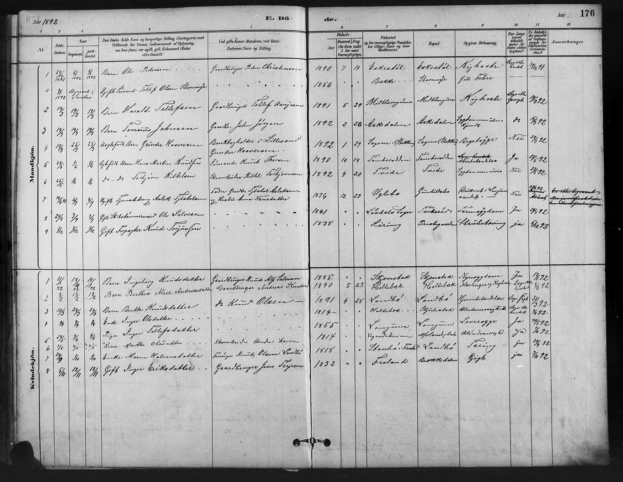 Austre Moland sokneprestkontor, AV/SAK-1111-0001/F/Fb/Fba/L0003: Parish register (copy) no. B 3, 1879-1914, p. 176