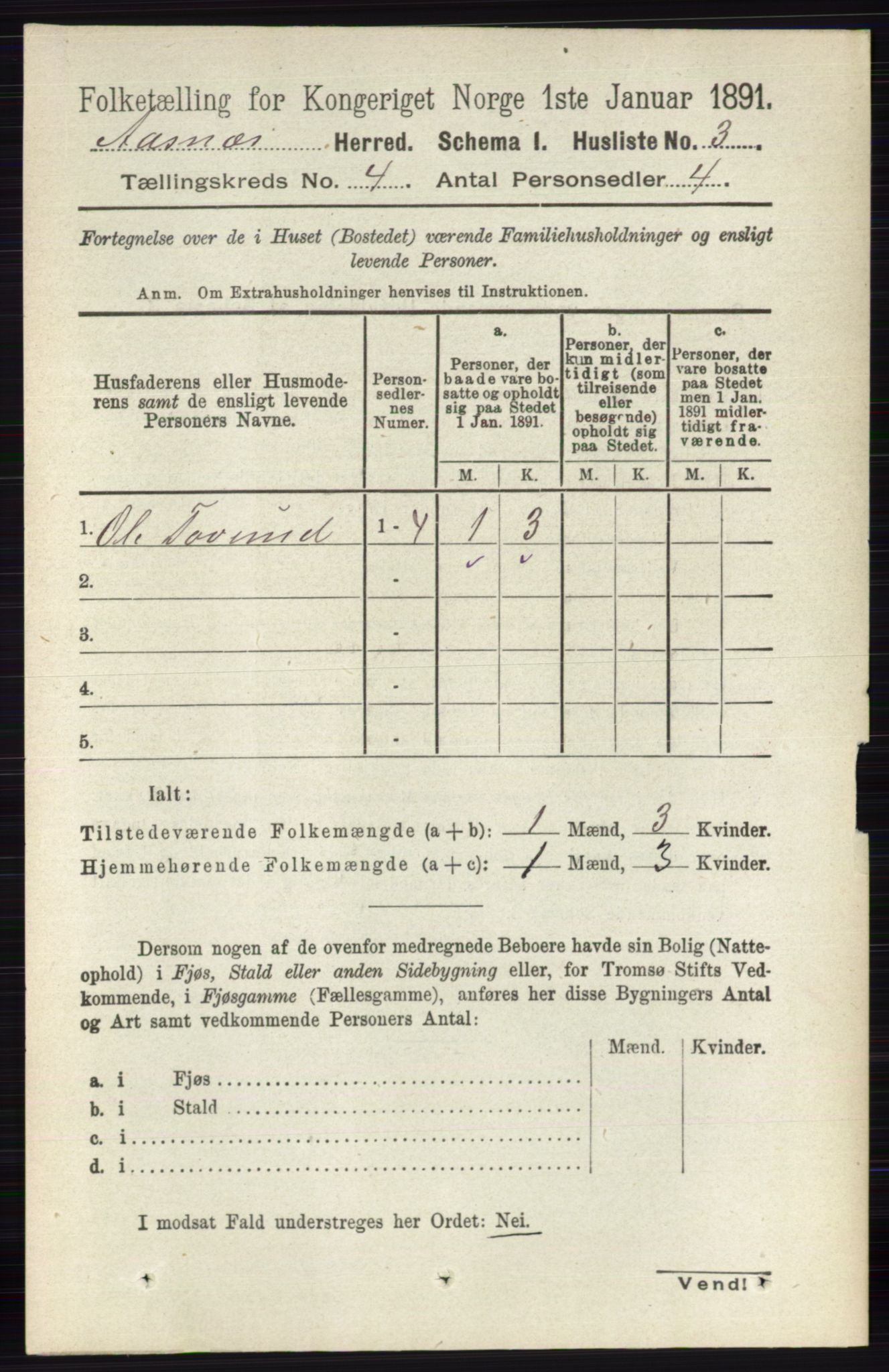 RA, 1891 census for 0425 Åsnes, 1891, p. 1545