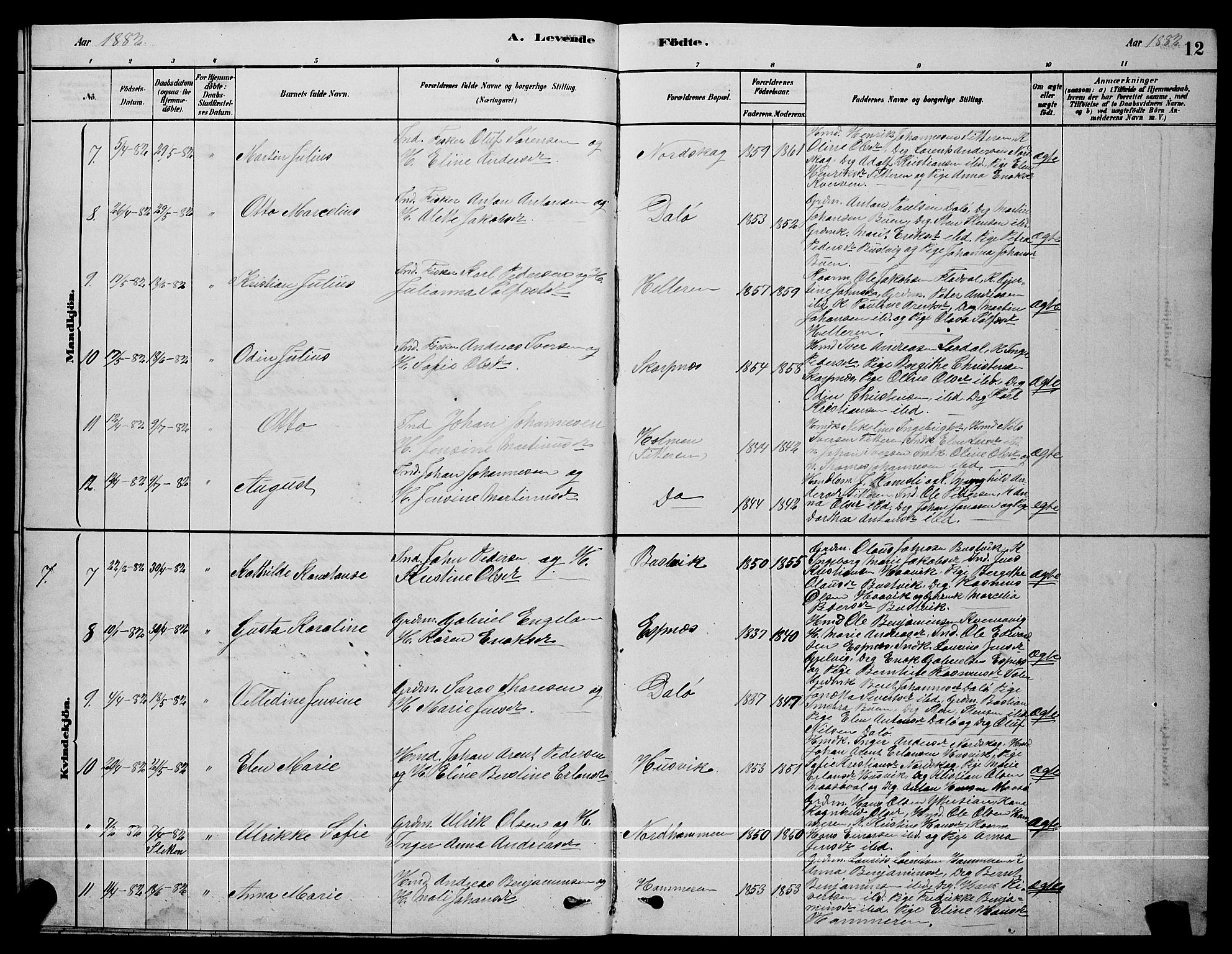 Ministerialprotokoller, klokkerbøker og fødselsregistre - Sør-Trøndelag, SAT/A-1456/641/L0597: Parish register (copy) no. 641C01, 1878-1893, p. 12