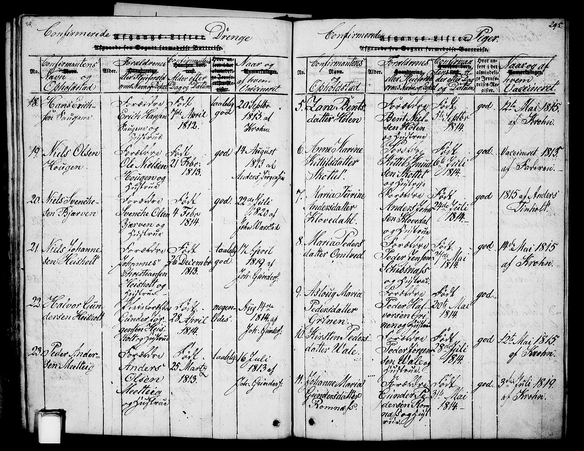 Holla kirkebøker, SAKO/A-272/G/Ga/L0001: Parish register (copy) no. I 1, 1814-1830, p. 295