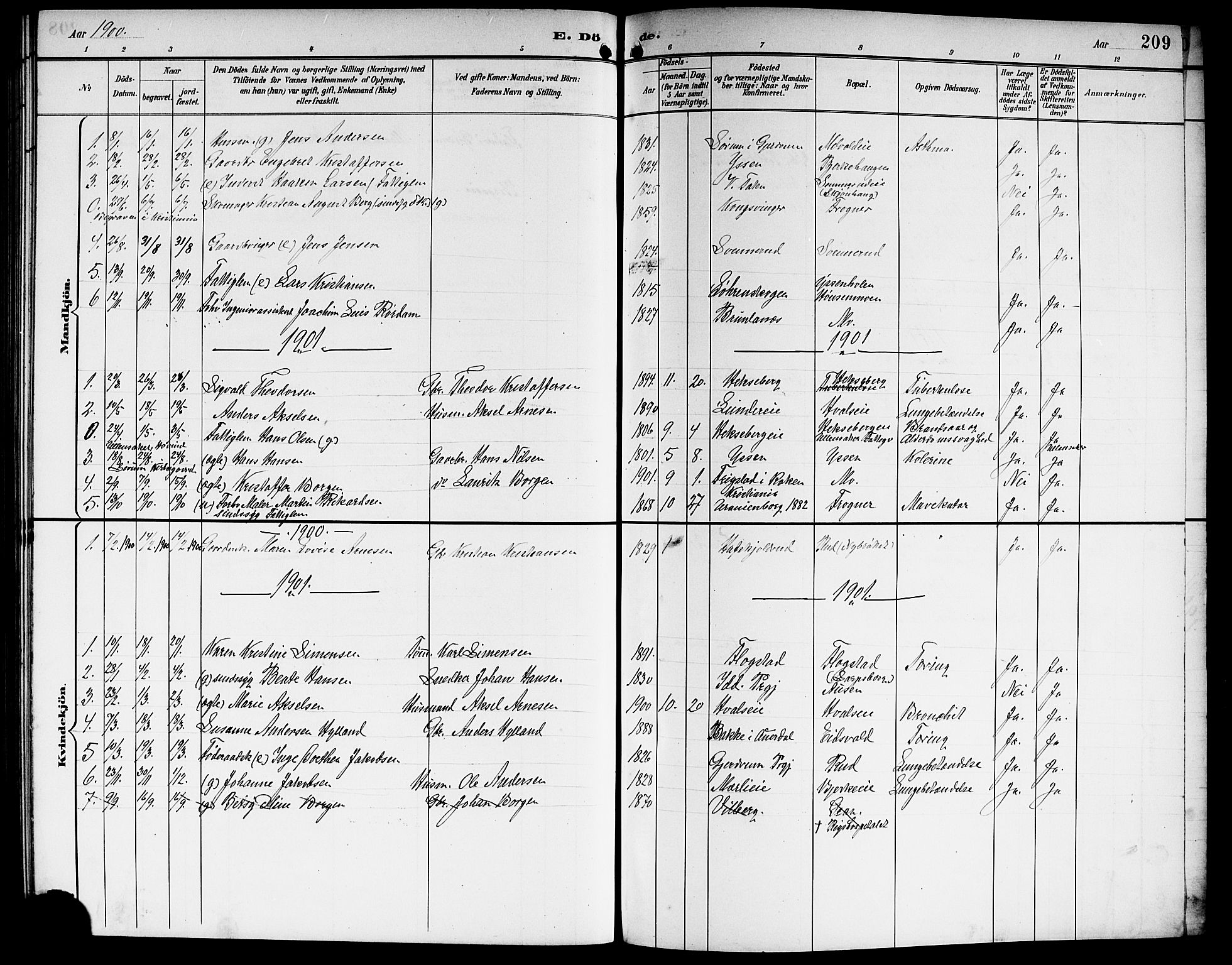 Sørum prestekontor Kirkebøker, SAO/A-10303/G/Ga/L0006: Parish register (copy) no. I 6, 1894-1906, p. 209