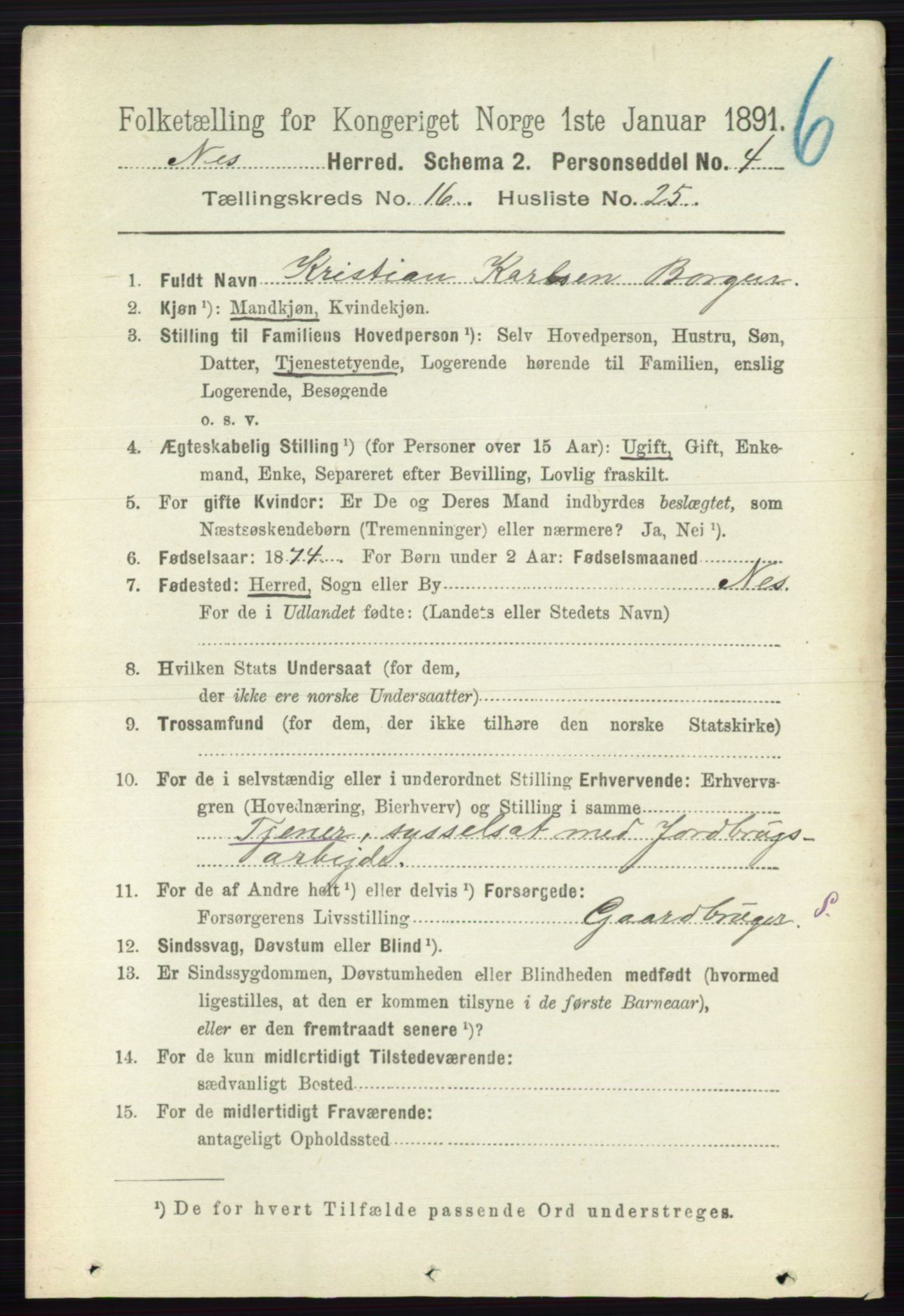 RA, 1891 census for 0236 Nes, 1891, p. 9701