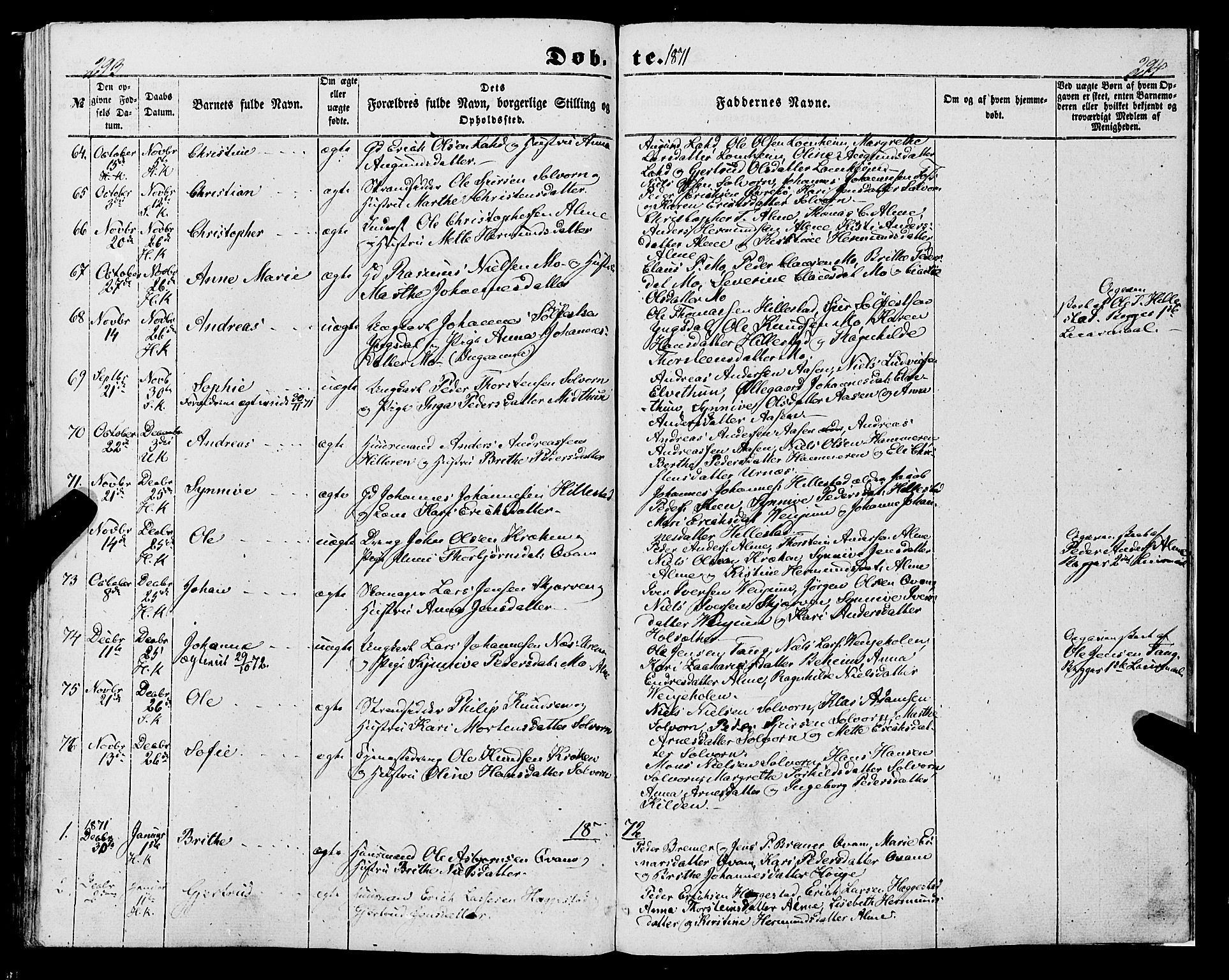 Hafslo sokneprestembete, AV/SAB-A-80301/H/Haa/Haaa/L0009: Parish register (official) no. A 9, 1852-1873, p. 293-294