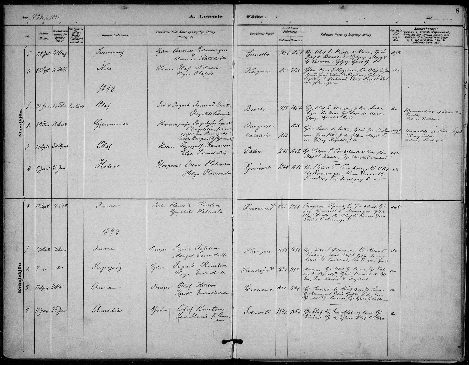 Seljord kirkebøker, SAKO/A-20/F/Fb/L0002: Parish register (official) no. II 2, 1887-1917, p. 8