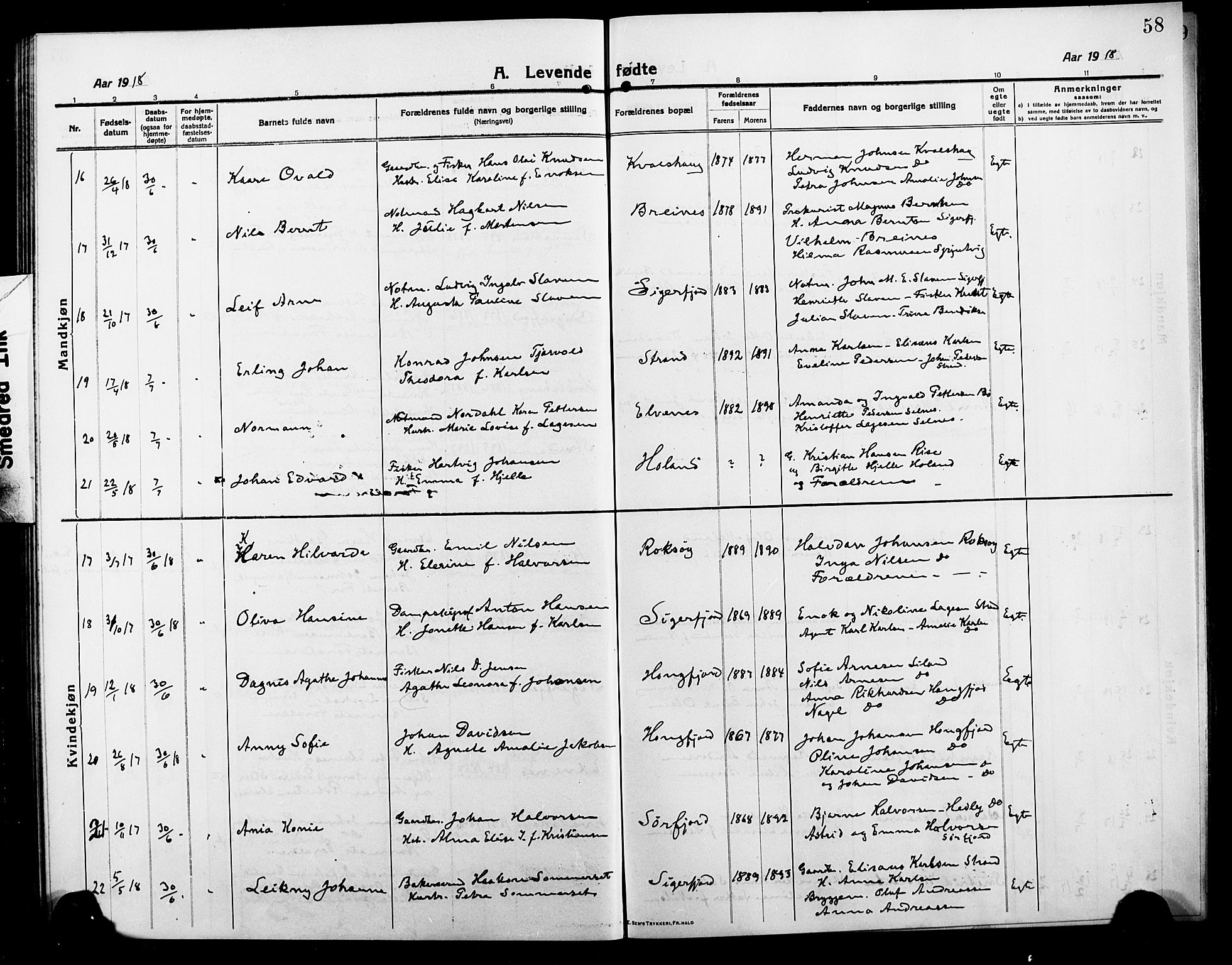 Ministerialprotokoller, klokkerbøker og fødselsregistre - Nordland, AV/SAT-A-1459/895/L1383: Parish register (copy) no. 895C05, 1913-1922, p. 58