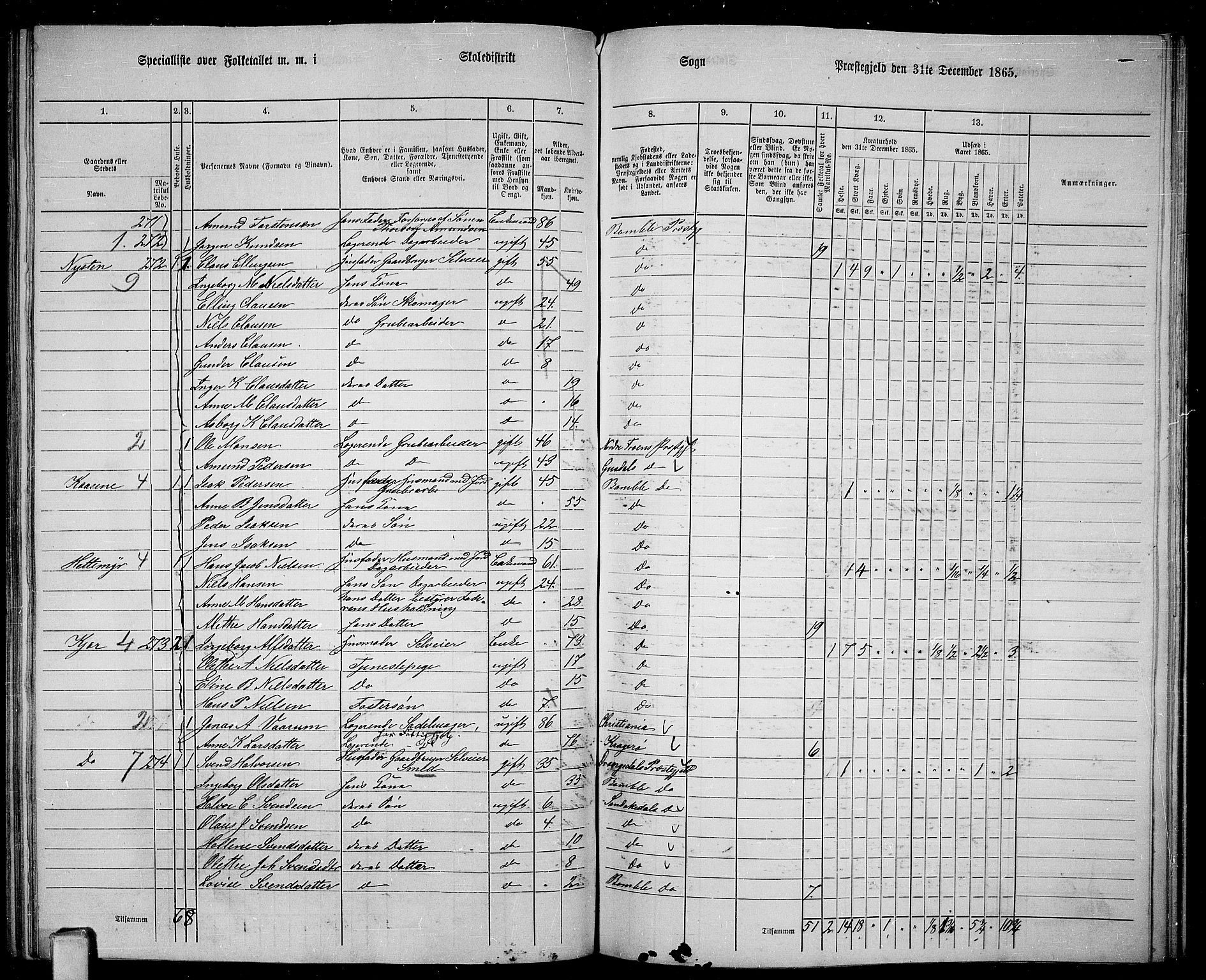 RA, 1865 census for Bamble, 1865, p. 115