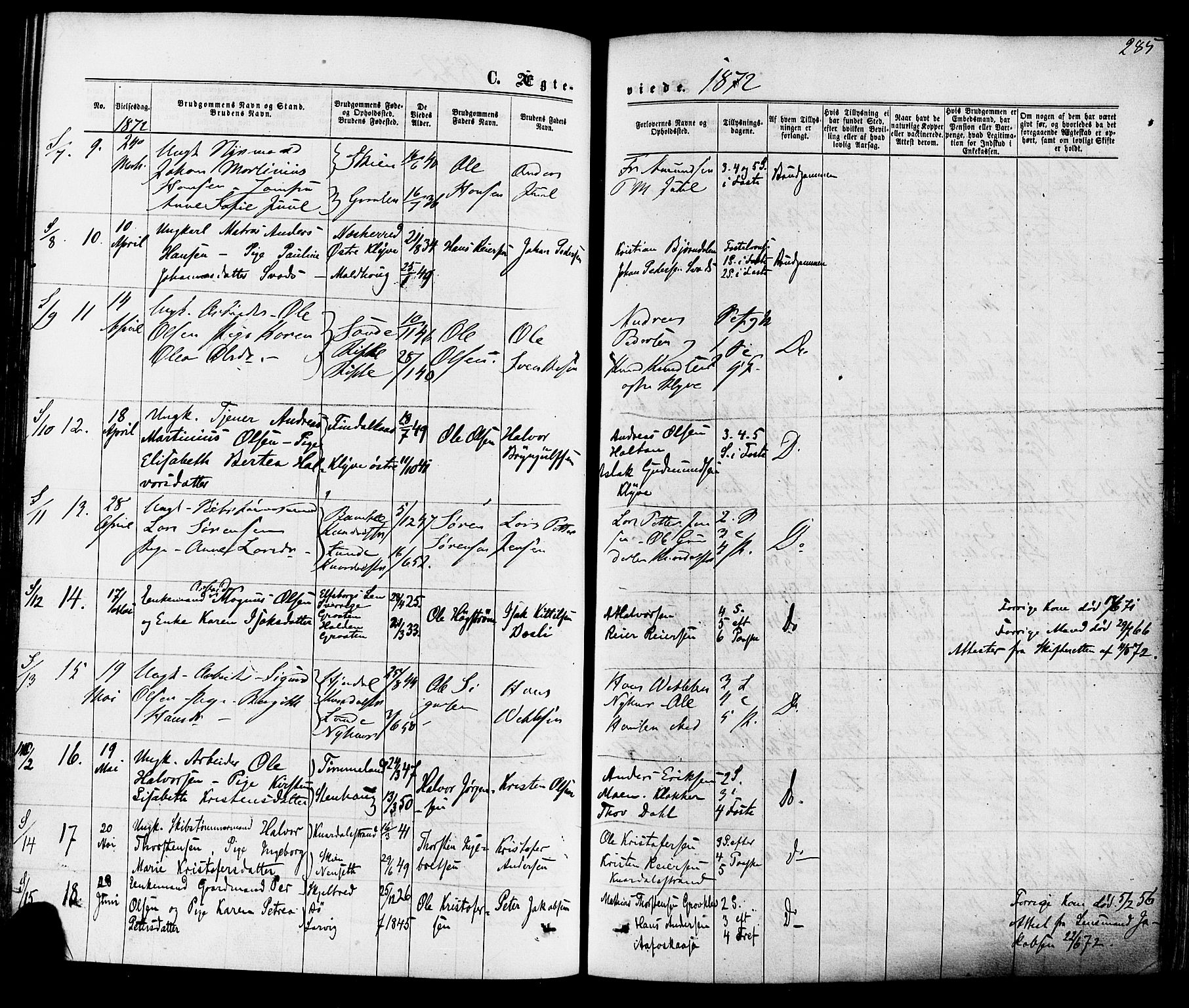 Solum kirkebøker, AV/SAKO-A-306/F/Fa/L0008: Parish register (official) no. I 8, 1865-1876, p. 285