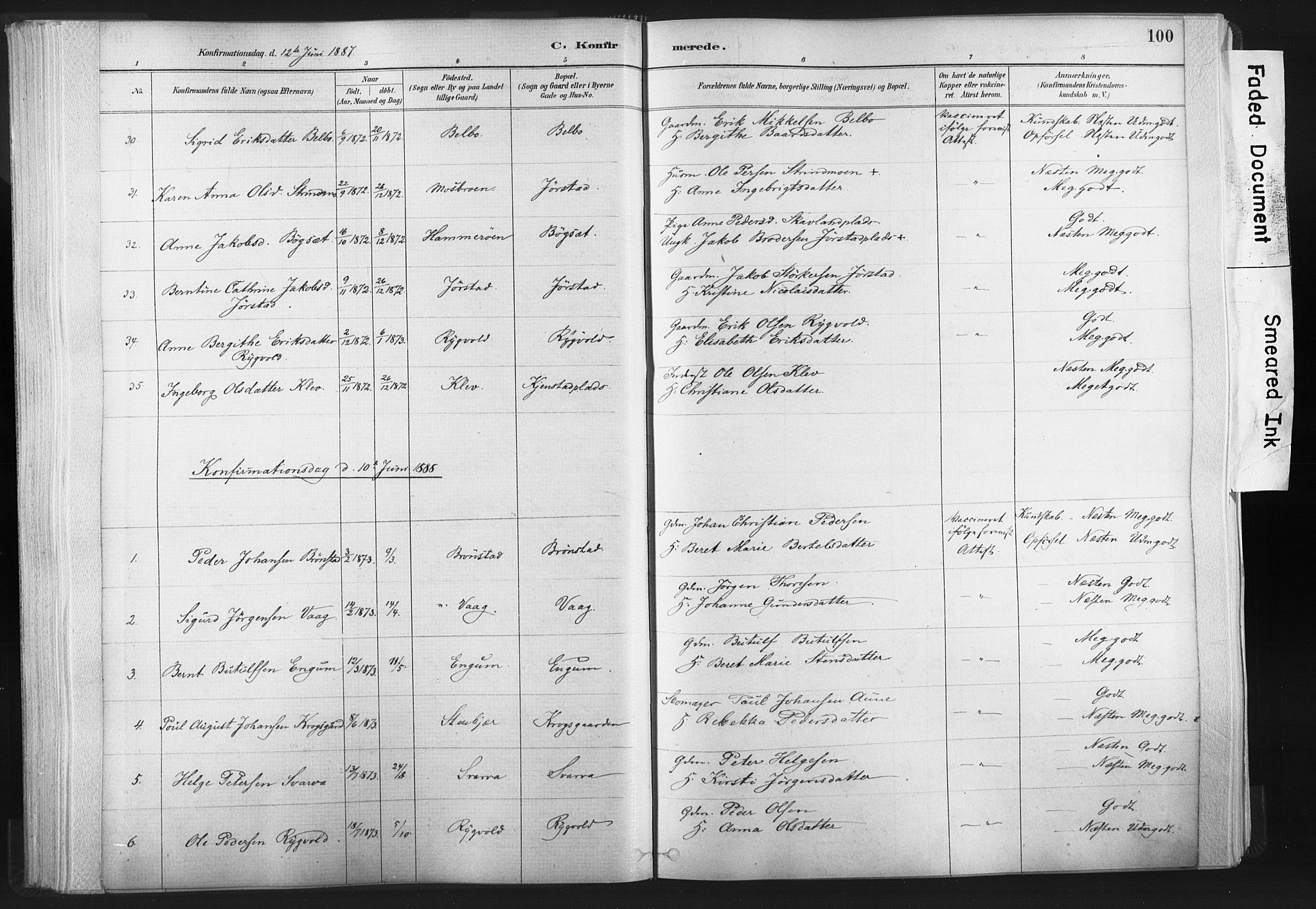 Ministerialprotokoller, klokkerbøker og fødselsregistre - Nord-Trøndelag, AV/SAT-A-1458/749/L0474: Parish register (official) no. 749A08, 1887-1903, p. 100