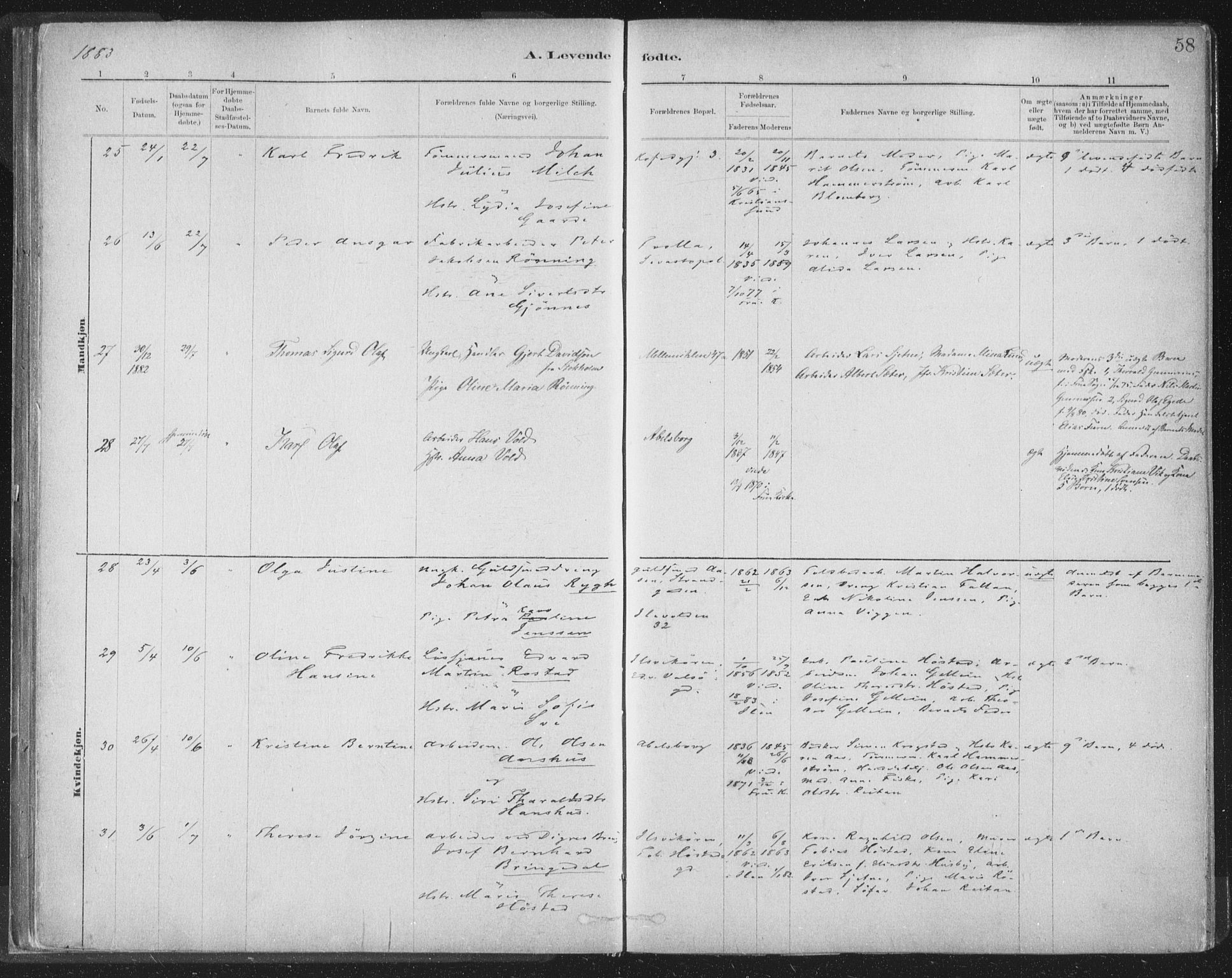 Ministerialprotokoller, klokkerbøker og fødselsregistre - Sør-Trøndelag, AV/SAT-A-1456/603/L0162: Parish register (official) no. 603A01, 1879-1895, p. 58