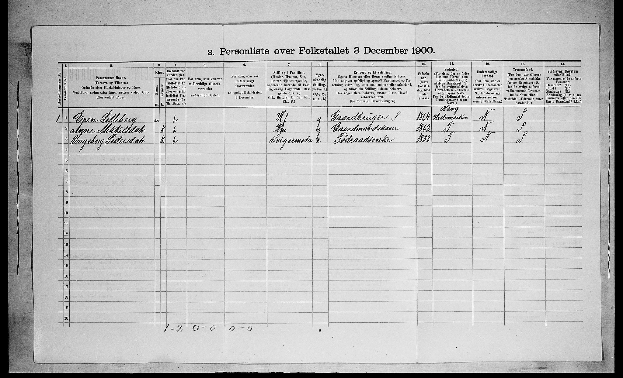 SAH, 1900 census for Furnes, 1900, p. 733