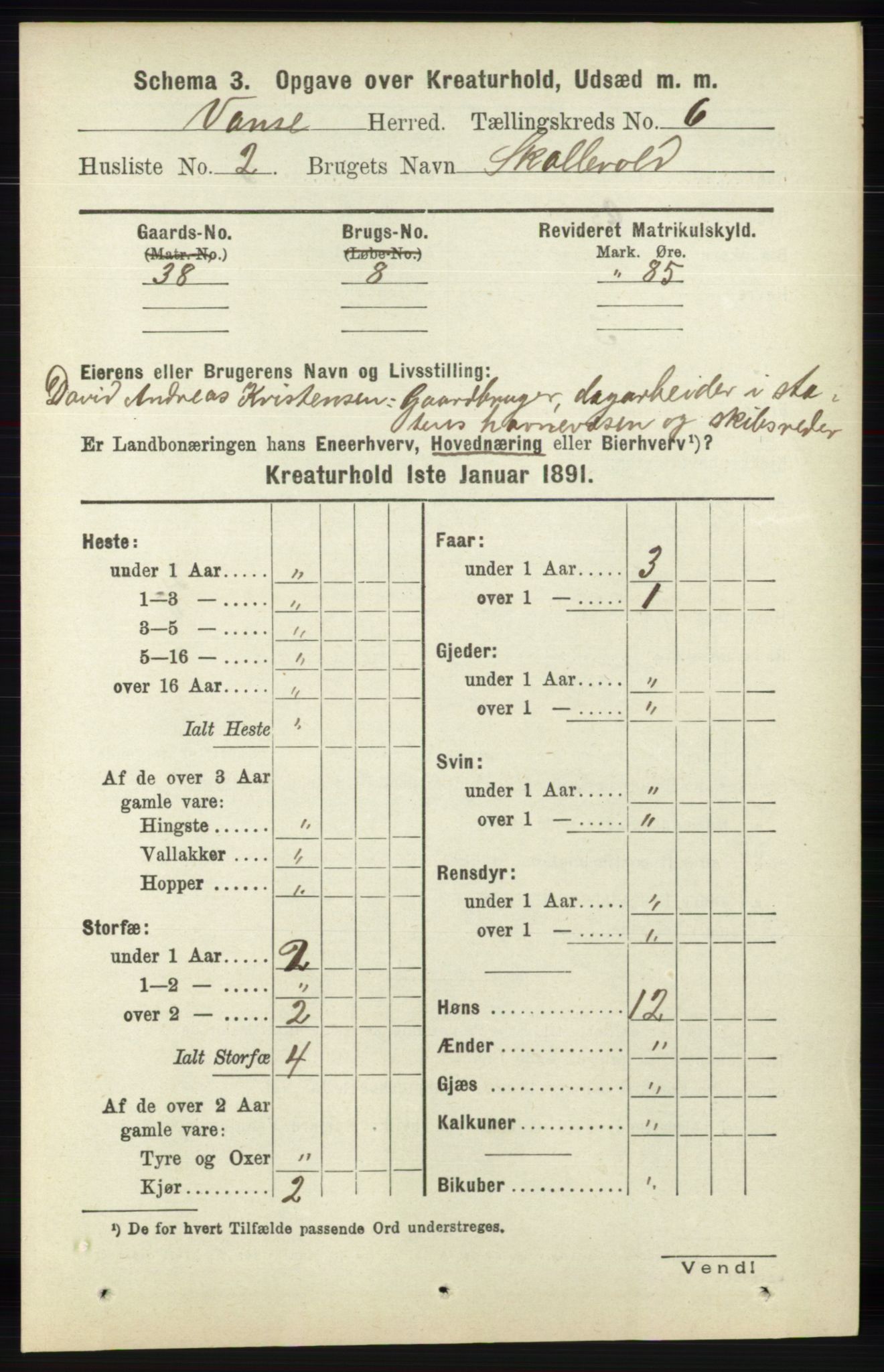 RA, 1891 census for 1041 Vanse, 1891, p. 8965