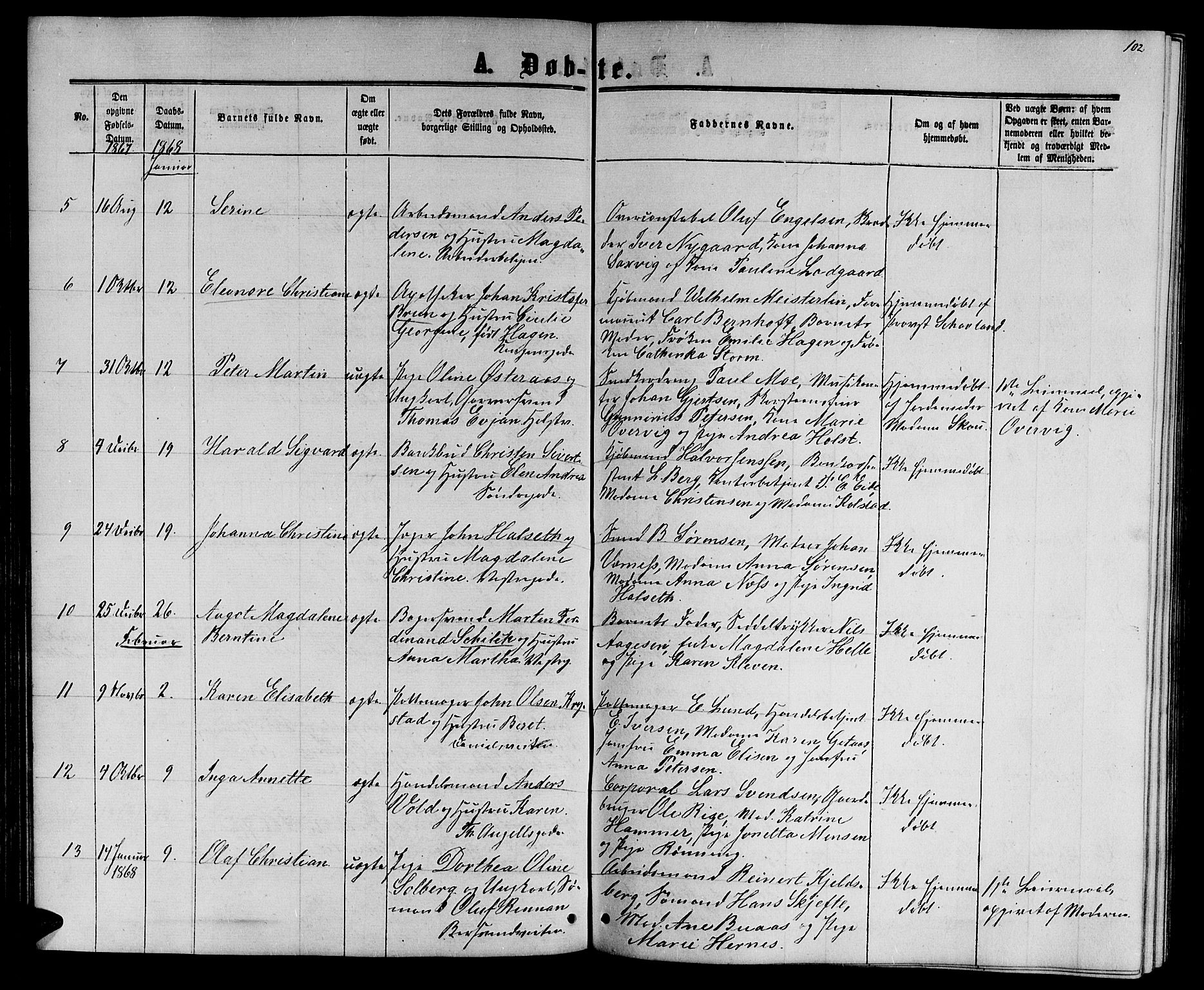Ministerialprotokoller, klokkerbøker og fødselsregistre - Sør-Trøndelag, SAT/A-1456/601/L0087: Parish register (copy) no. 601C05, 1864-1881, p. 102
