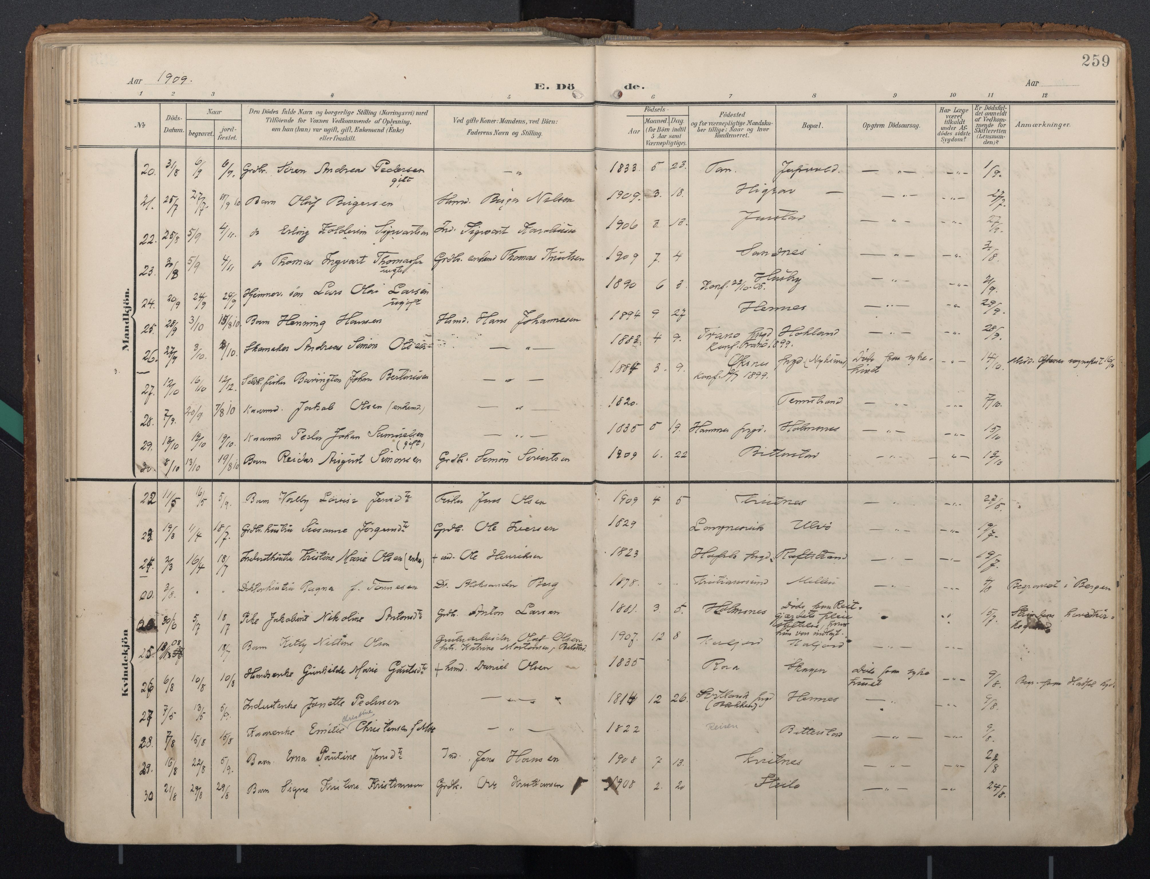 Ministerialprotokoller, klokkerbøker og fødselsregistre - Nordland, AV/SAT-A-1459/888/L1248: Parish register (official) no. 888A14, 1904-1913, p. 259