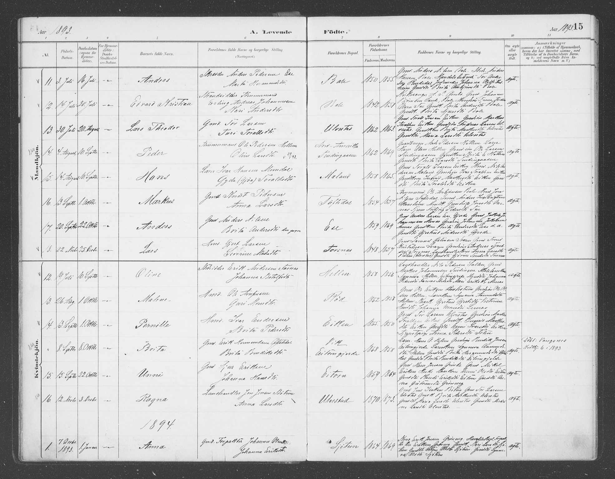 Balestrand sokneprestembete, SAB/A-79601/H/Haa/Haab/L0001: Parish register (official) no. B  1, 1889-1910, p. 15