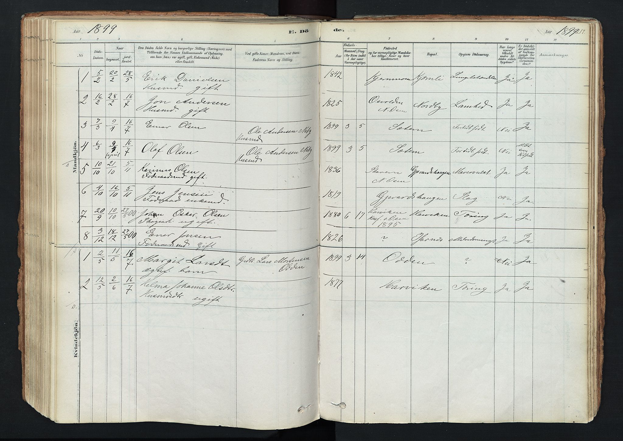 Trysil prestekontor, SAH/PREST-046/H/Ha/Haa/L0011: Parish register (official) no. 11, 1878-1912, p. 217