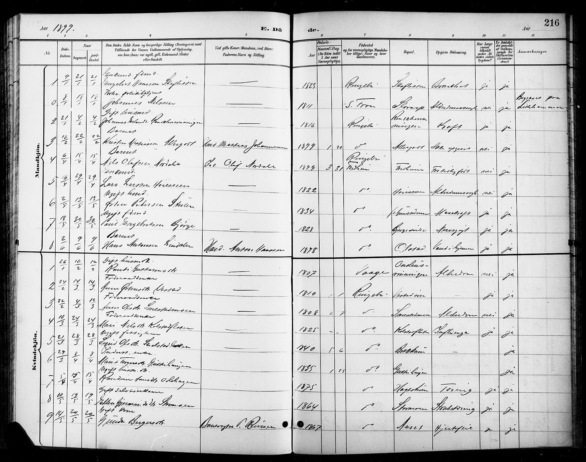 Ringebu prestekontor, SAH/PREST-082/H/Ha/Hab/L0009: Parish register (copy) no. 9, 1899-1921, p. 216