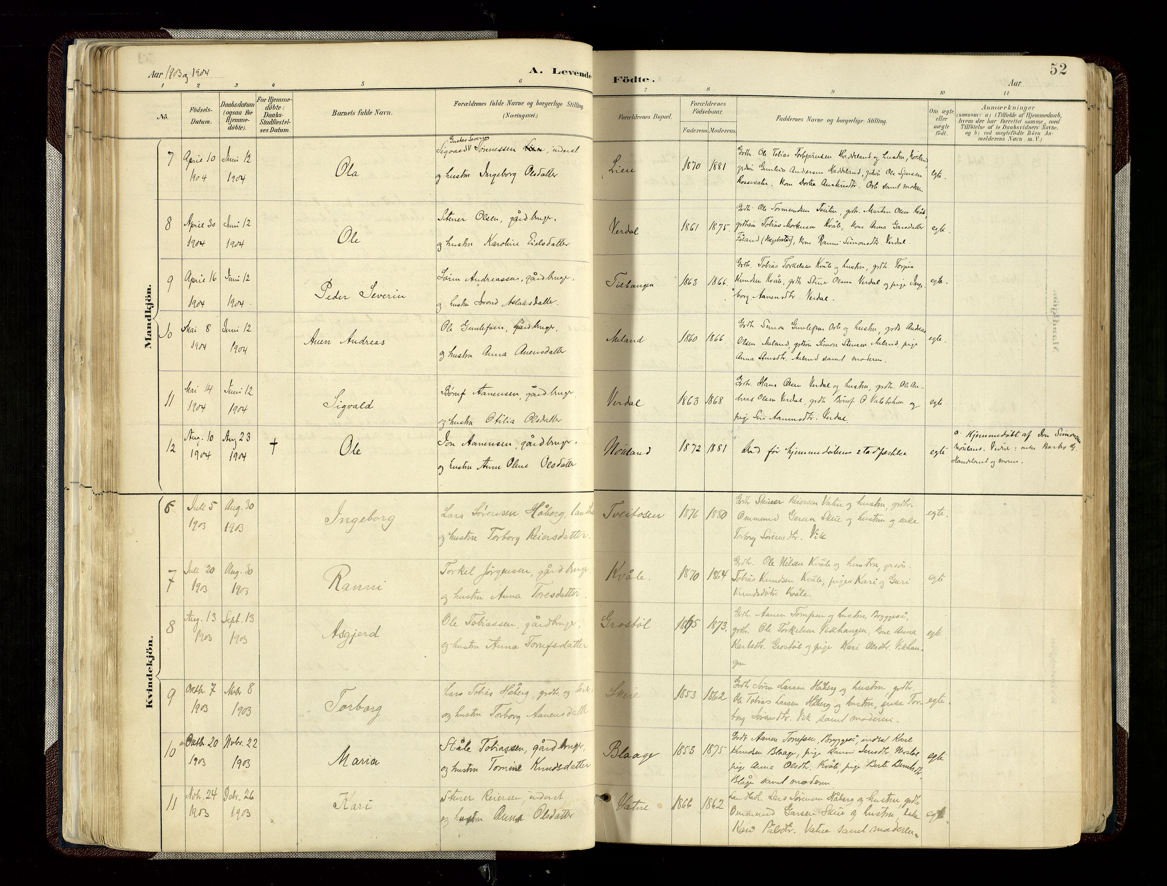 Hægebostad sokneprestkontor, SAK/1111-0024/F/Fa/Fab/L0004: Parish register (official) no. A 4, 1887-1929, p. 52